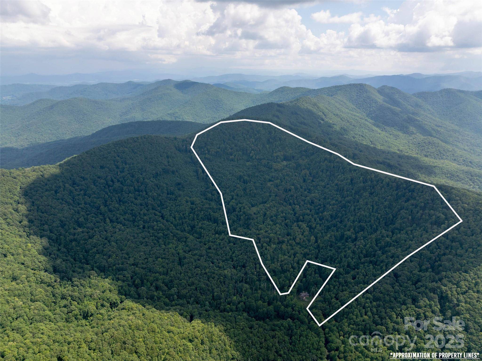 99999 Billy Cove RD, Candler, NC 28715