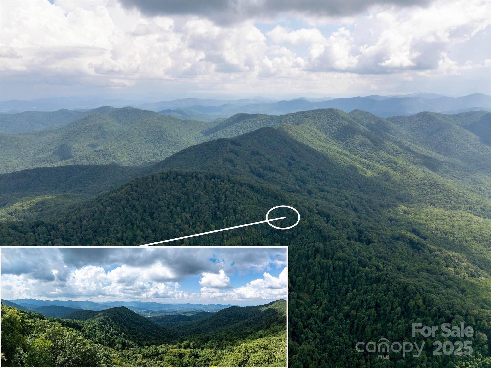 99999 Billy Cove RD, Candler, NC 28715