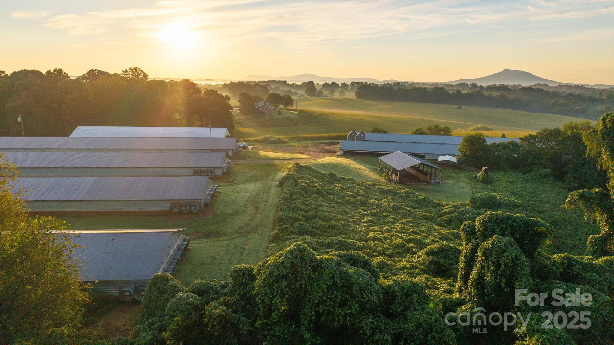 167 Buck Hollow TRL, Ararat, NC 27007