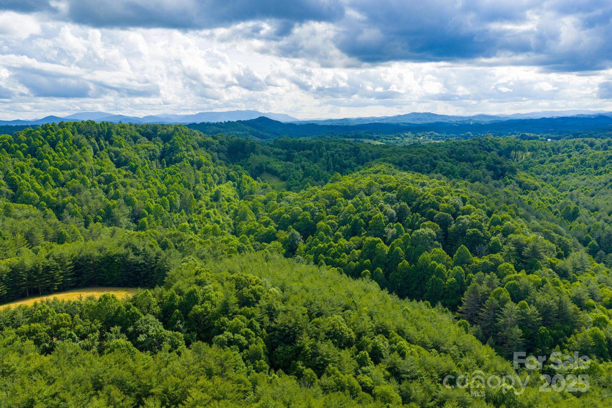 TBD Phipps Dairy RD, Piney Creek, NC 28663