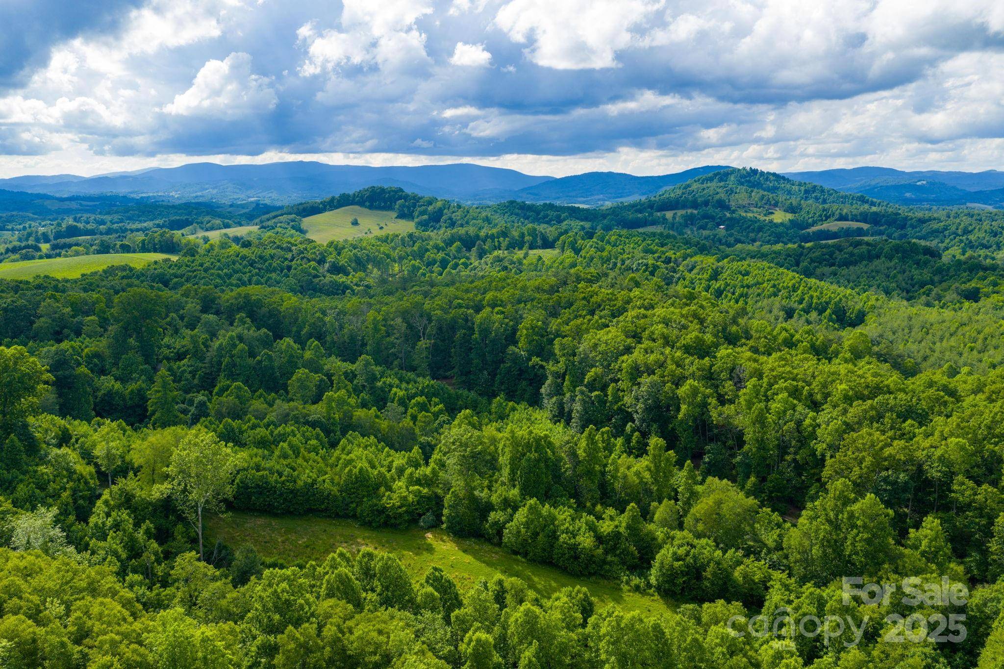 TBD Phipps Dairy RD, Piney Creek, NC 28663