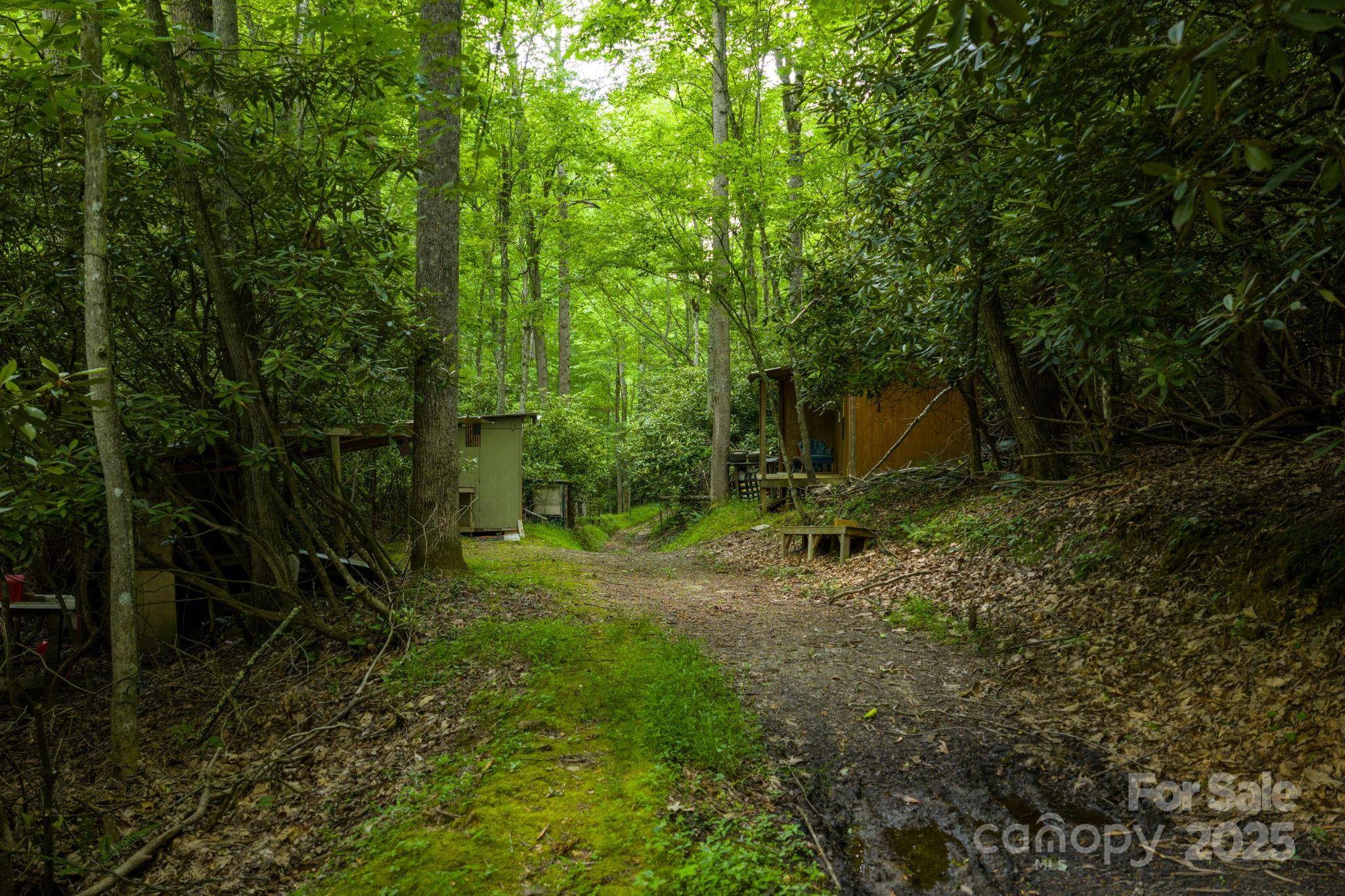 TBD Phipps Dairy RD, Piney Creek, NC 28663