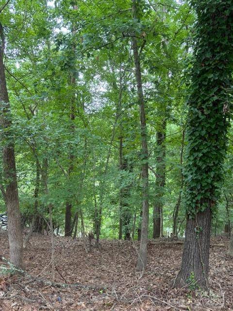 10046 Tepa PL, Tega Cay, SC 29708