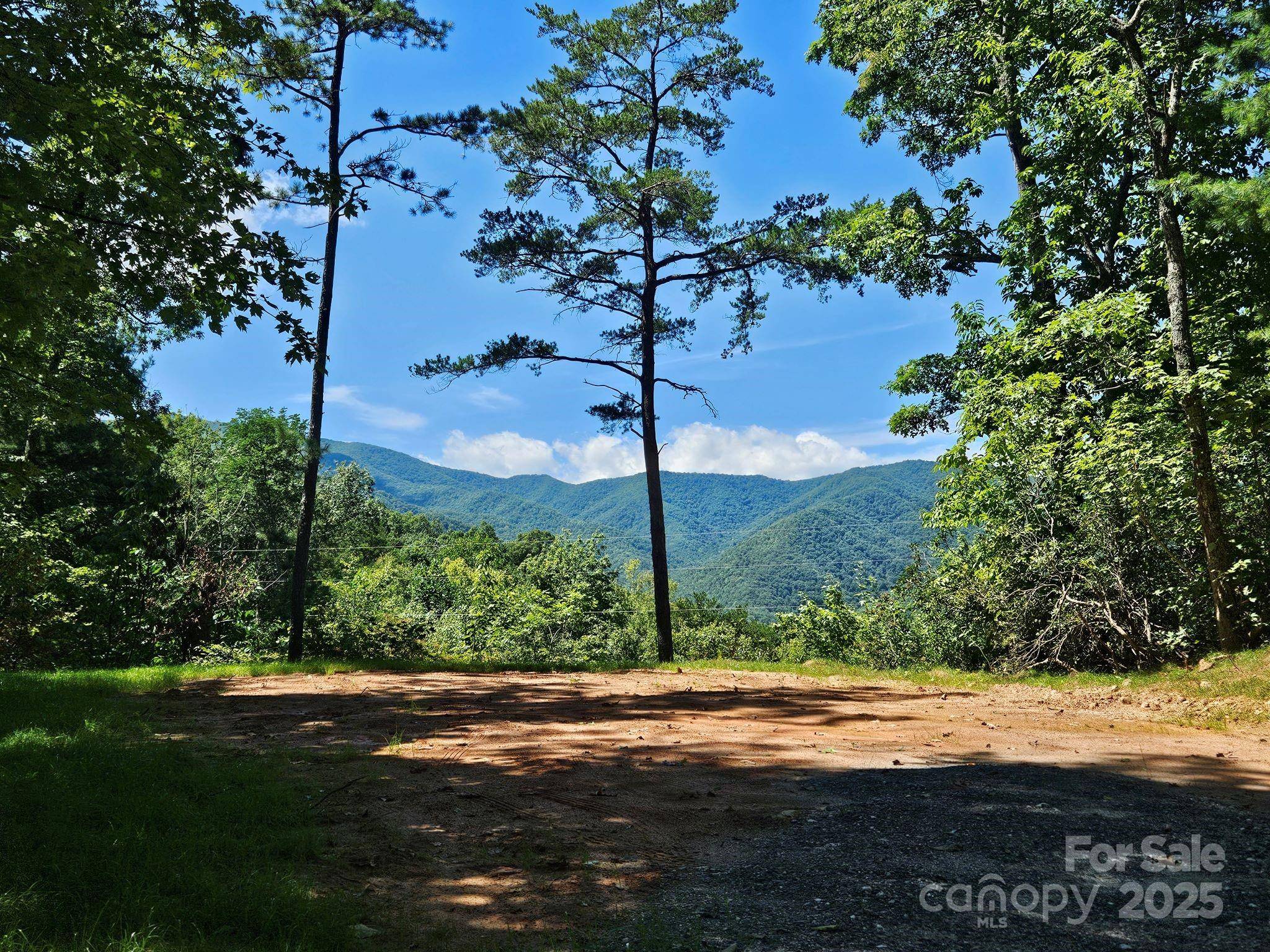 0 Blue Vista RD #1, Canton, NC 28716