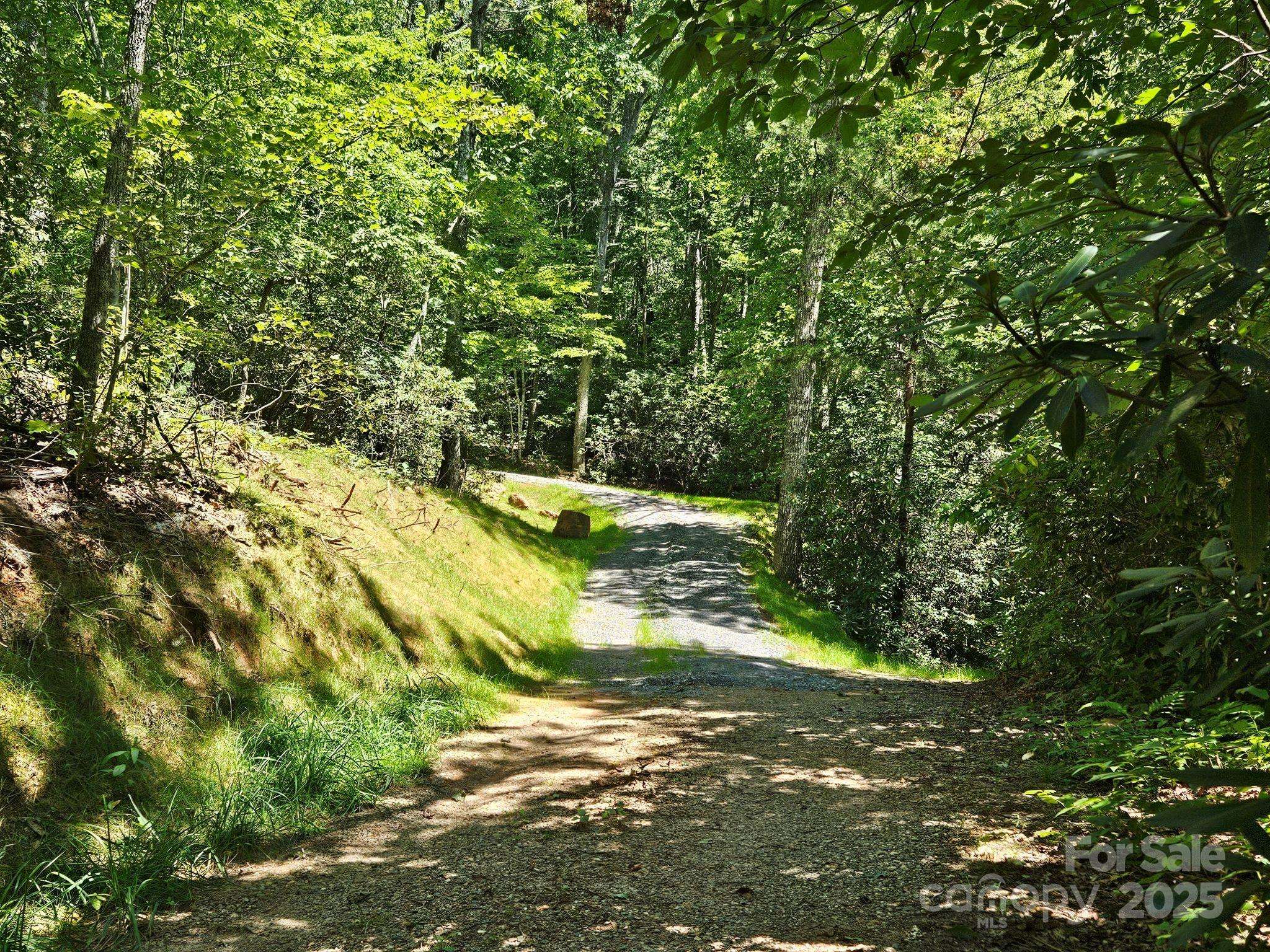 0 Blue Vista RD #1, Canton, NC 28716