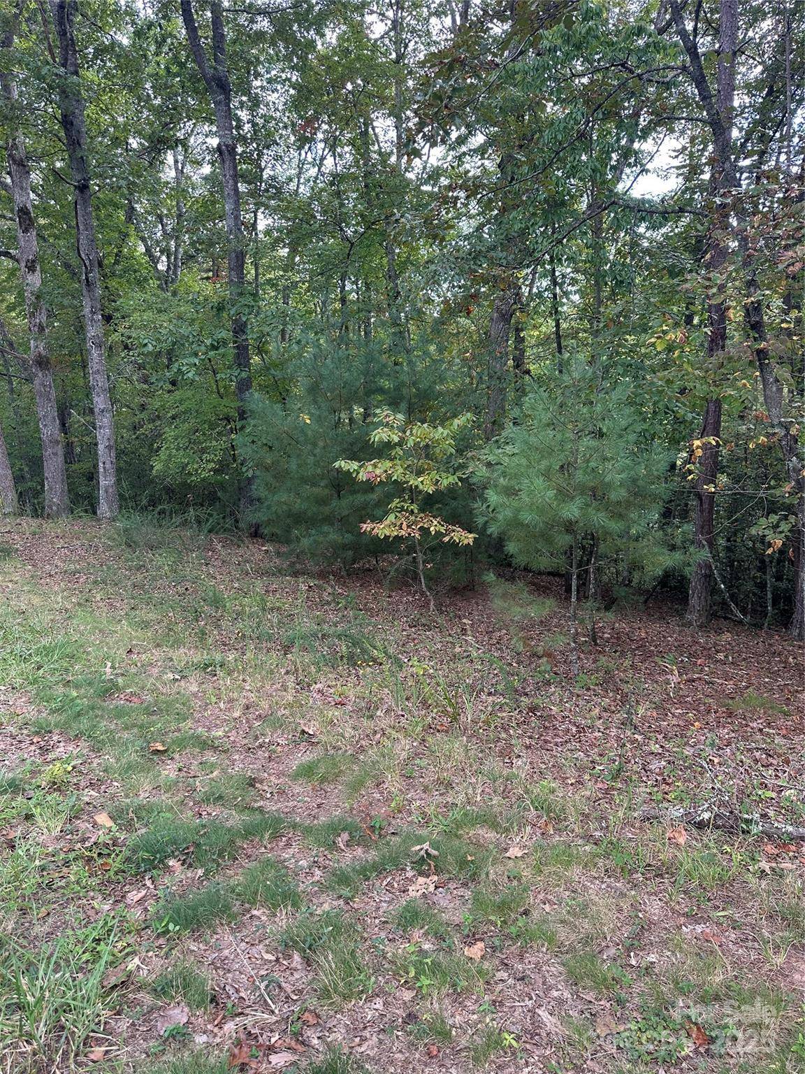 00 Pleasant Hill RD, Franklin, NC 28734