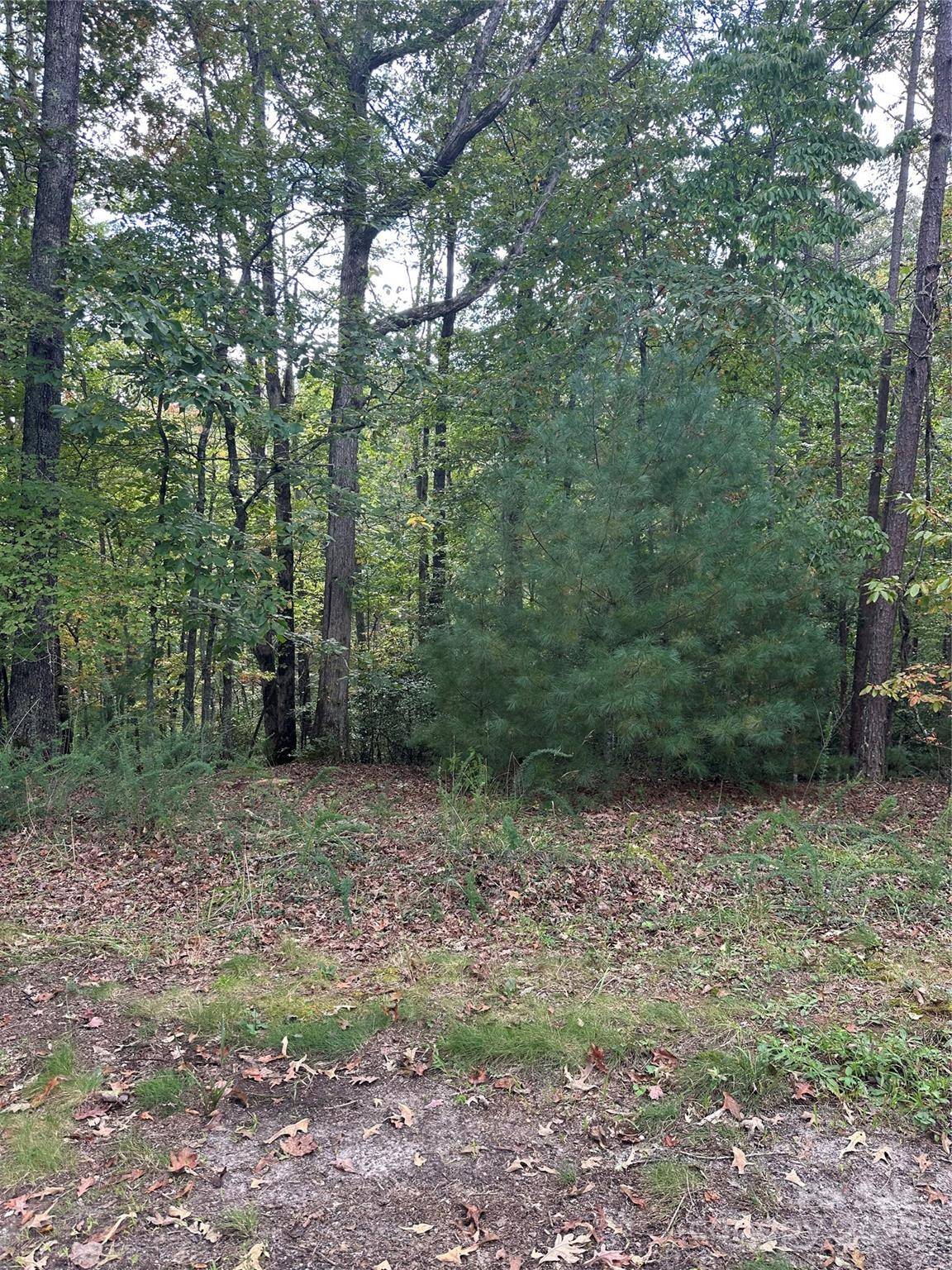 00 Pleasant Hill RD, Franklin, NC 28734