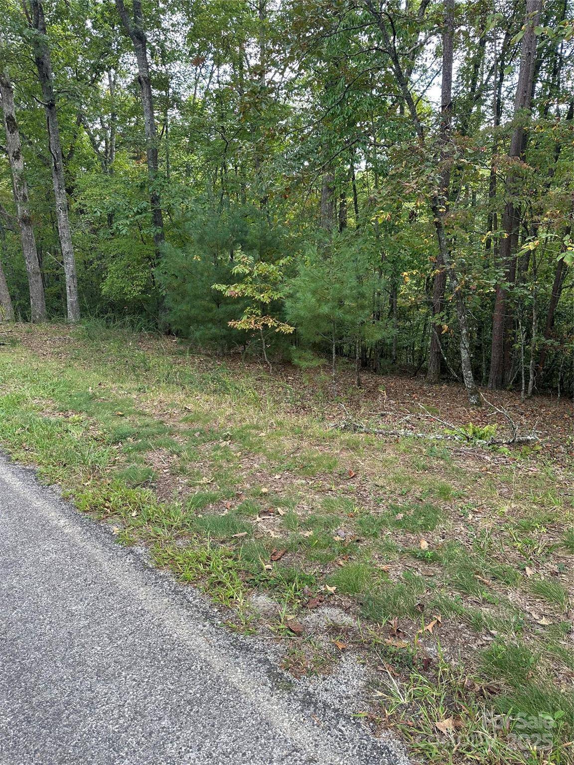 00 Pleasant Hill RD, Franklin, NC 28734