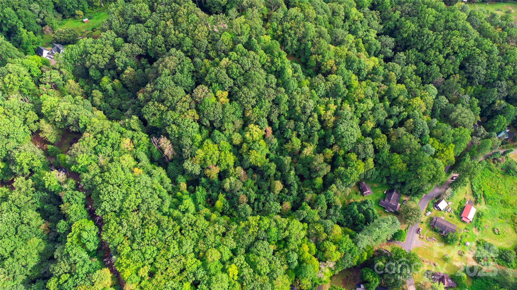 0000 Cabin Flats RD, Balsam, NC 28707