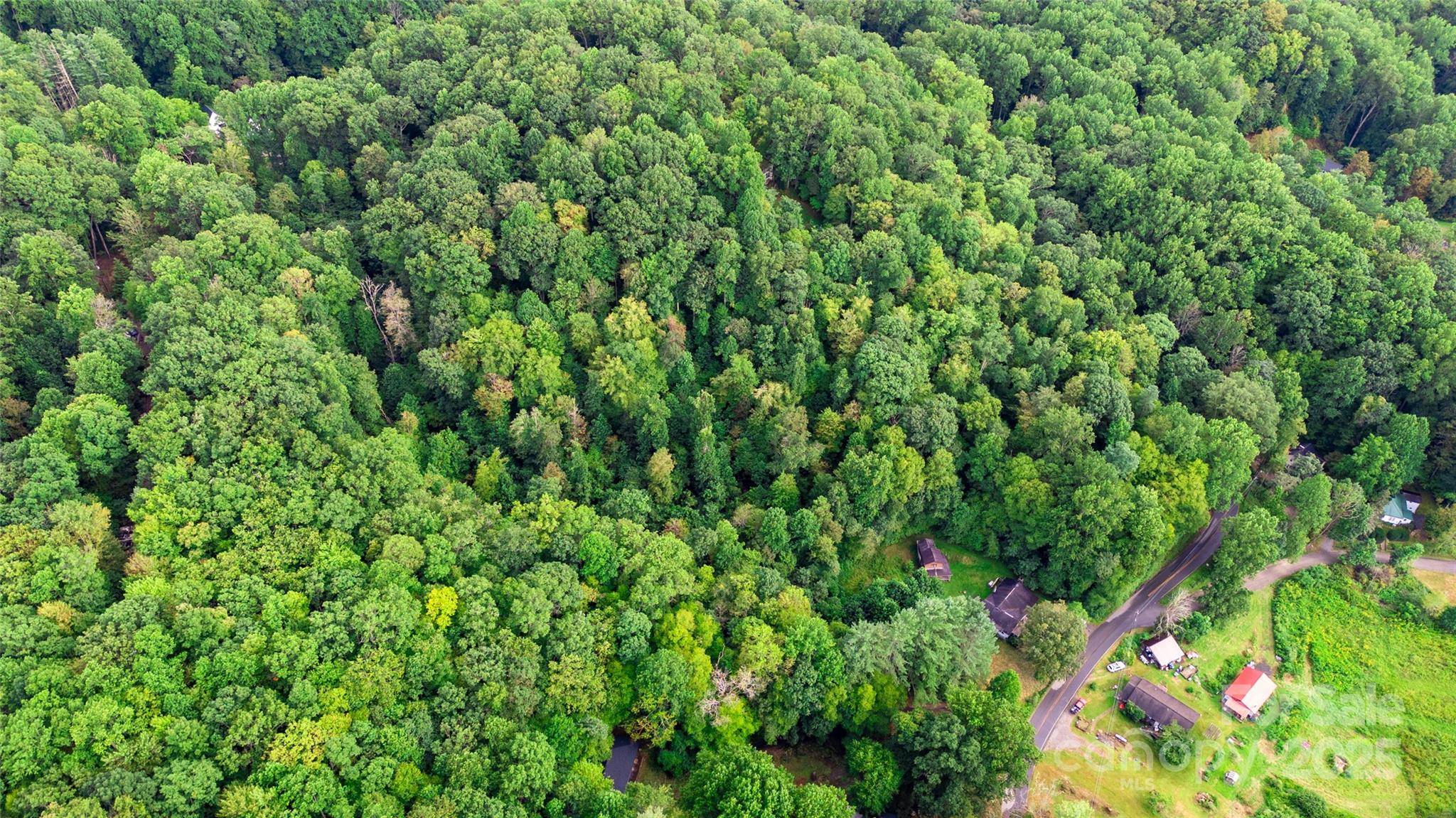 0000 Cabin Flats RD, Balsam, NC 28707