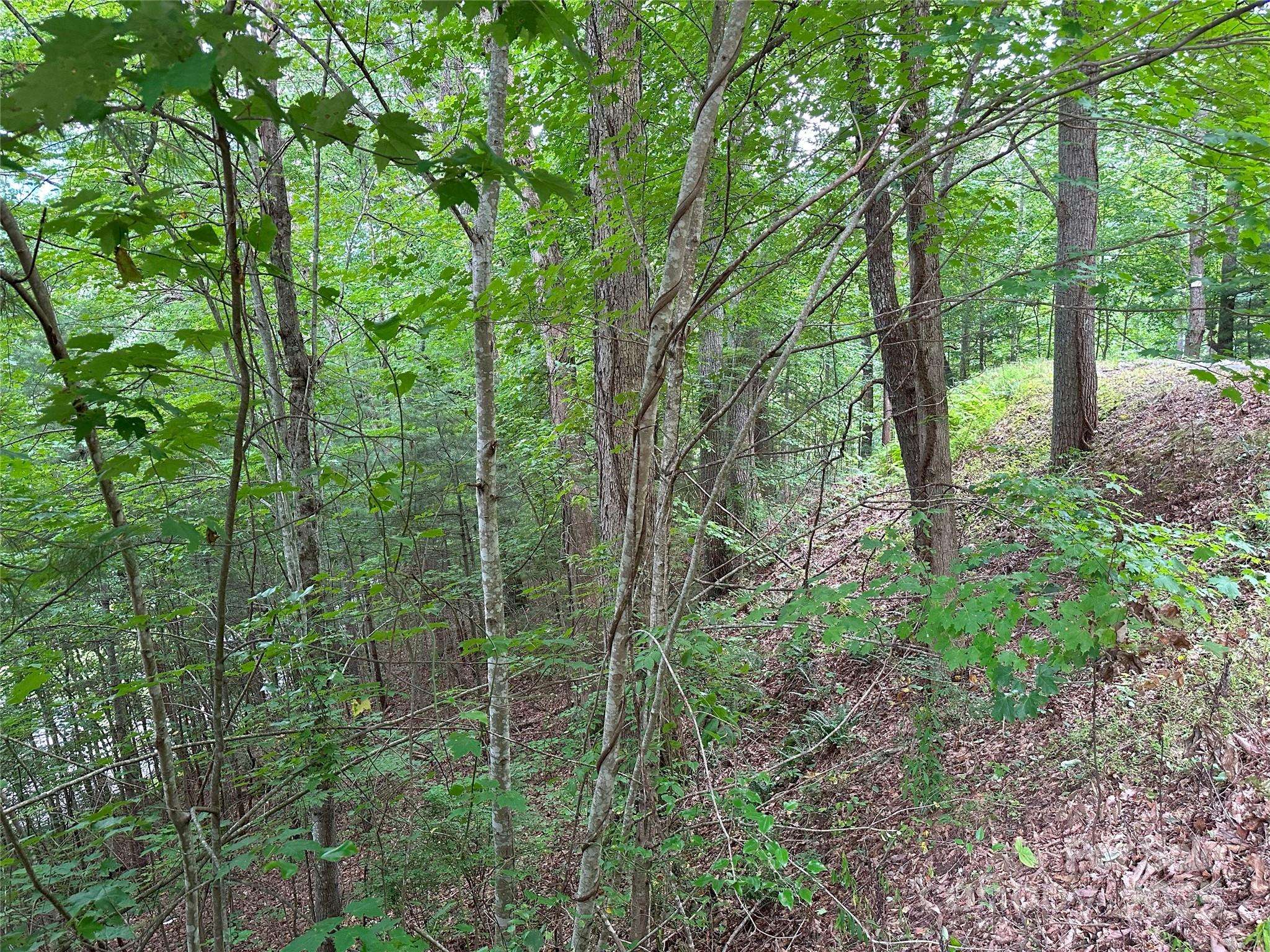 000 Ruffed Grouse LN, Waynesville, NC 28786