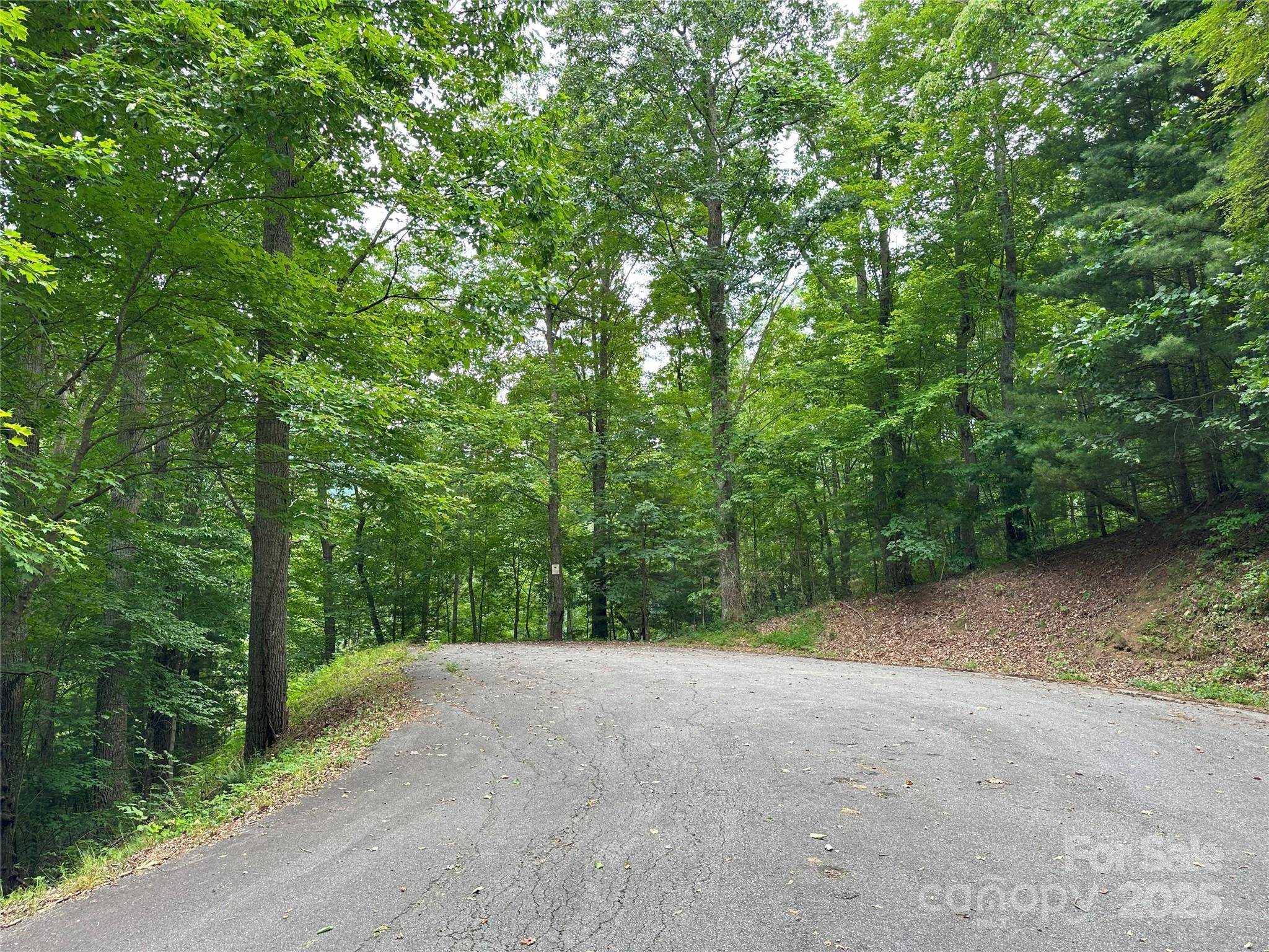 000 Ruffed Grouse LN, Waynesville, NC 28786