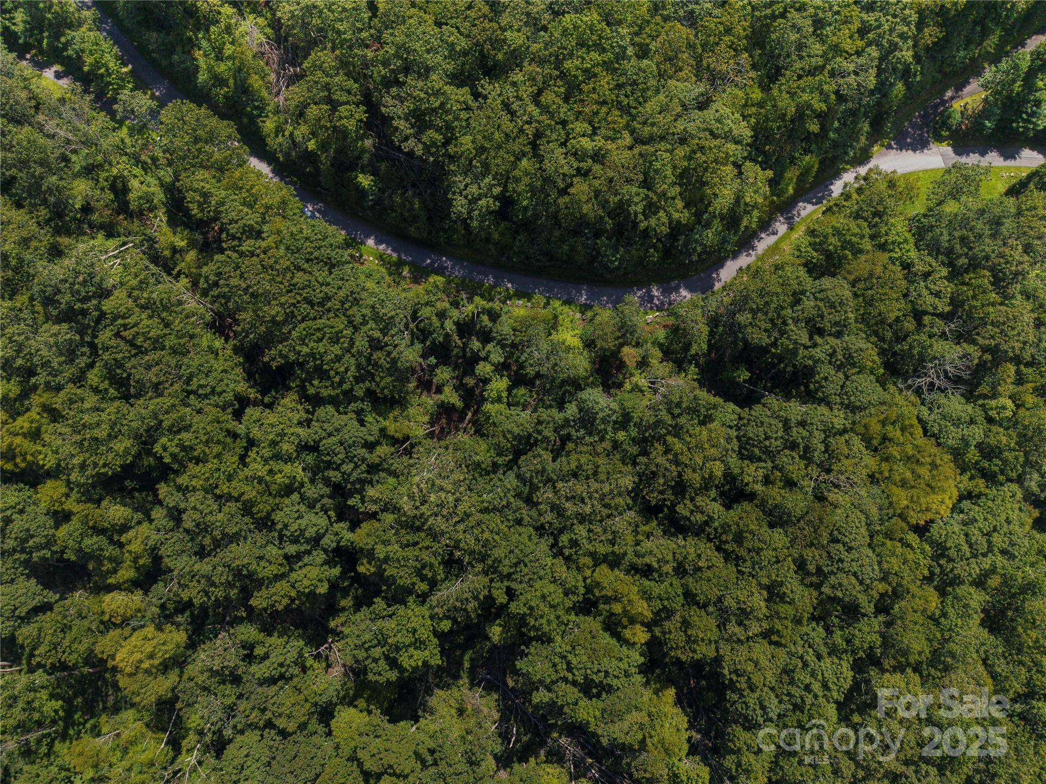 52 Castanea Mountain DR, Asheville, NC 28803
