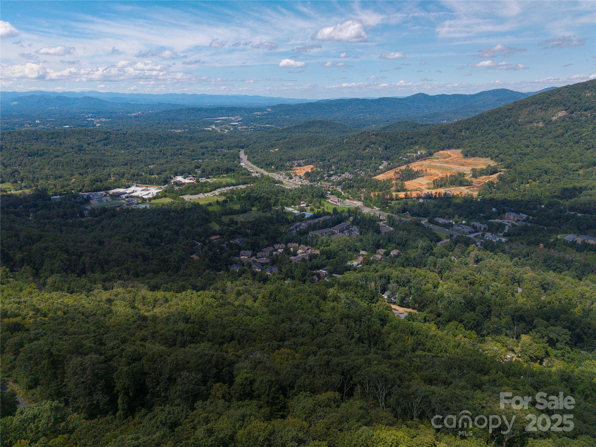 52 Castanea Mountain DR, Asheville, NC 28803
