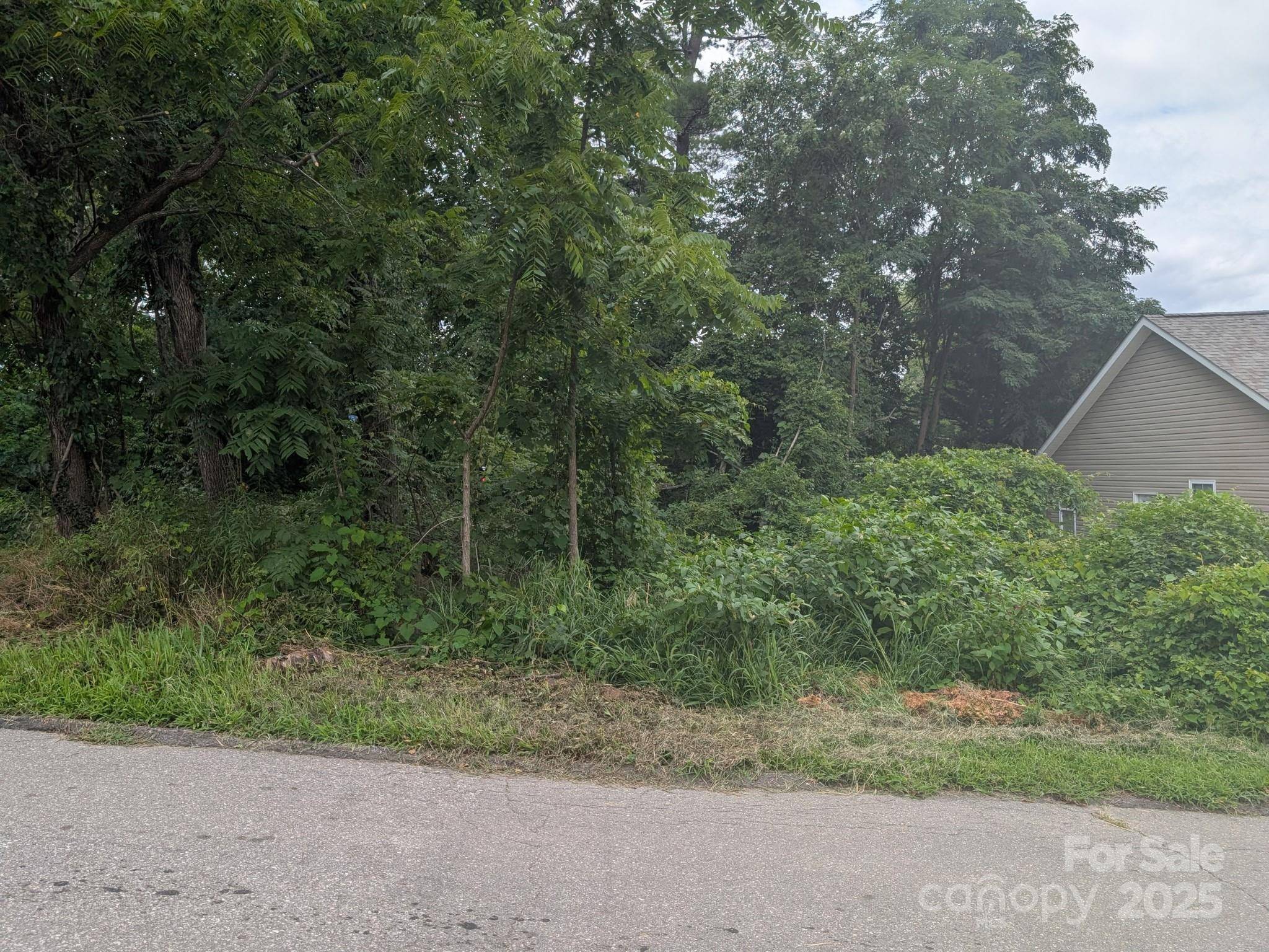 0000 Booker ST, Asheville, NC 28803