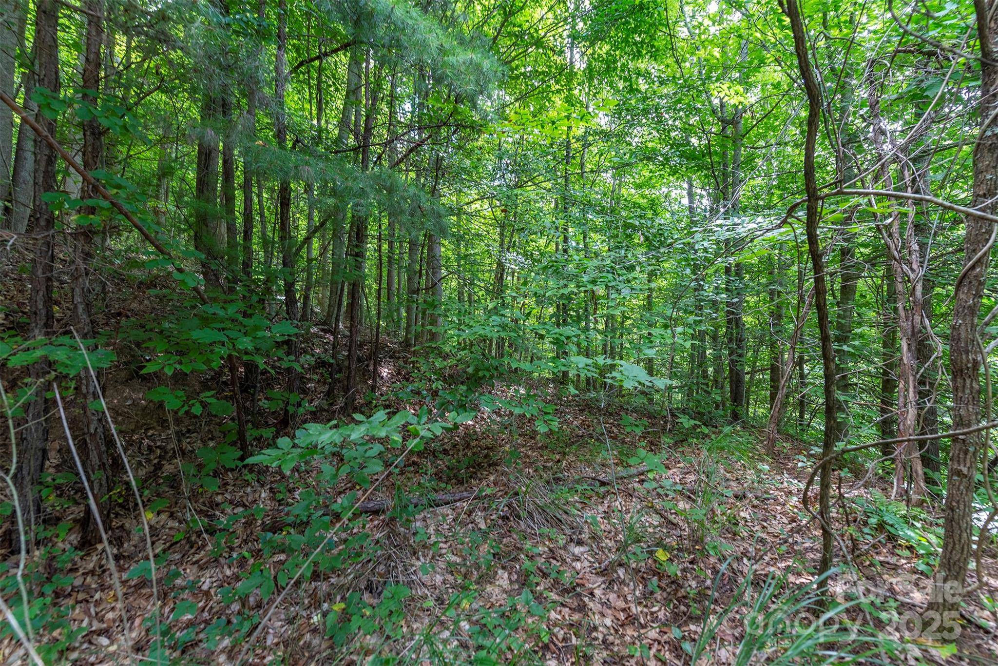 72 Applewood LN #93, Weaverville, NC 28787