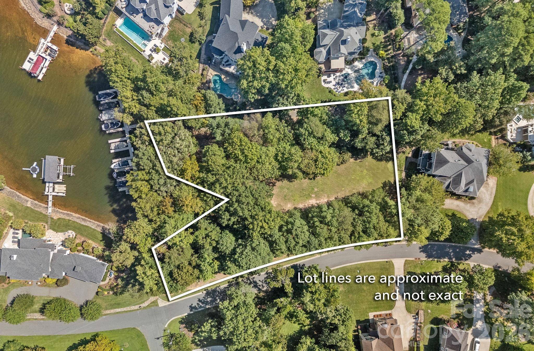 19002 Lakehouse Pointe DR, Cornelius, NC 28031