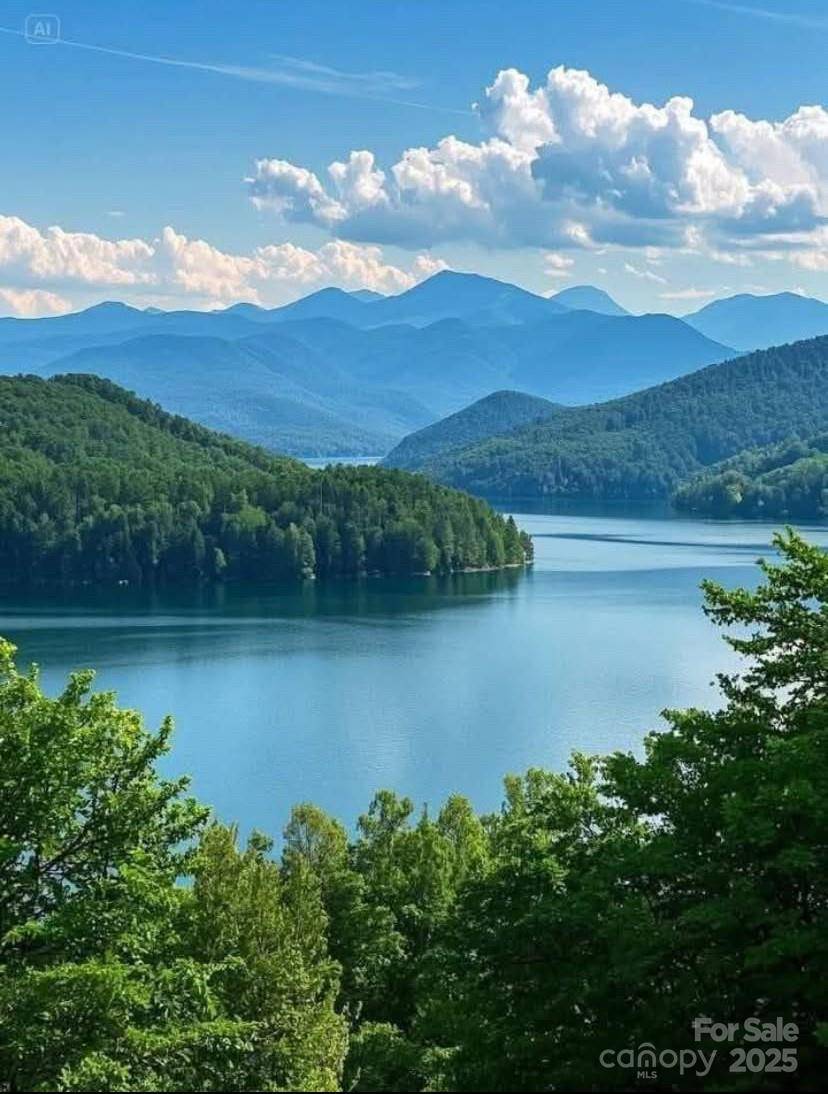 0 Winesap BLVD #81, Lake Lure, NC 28746