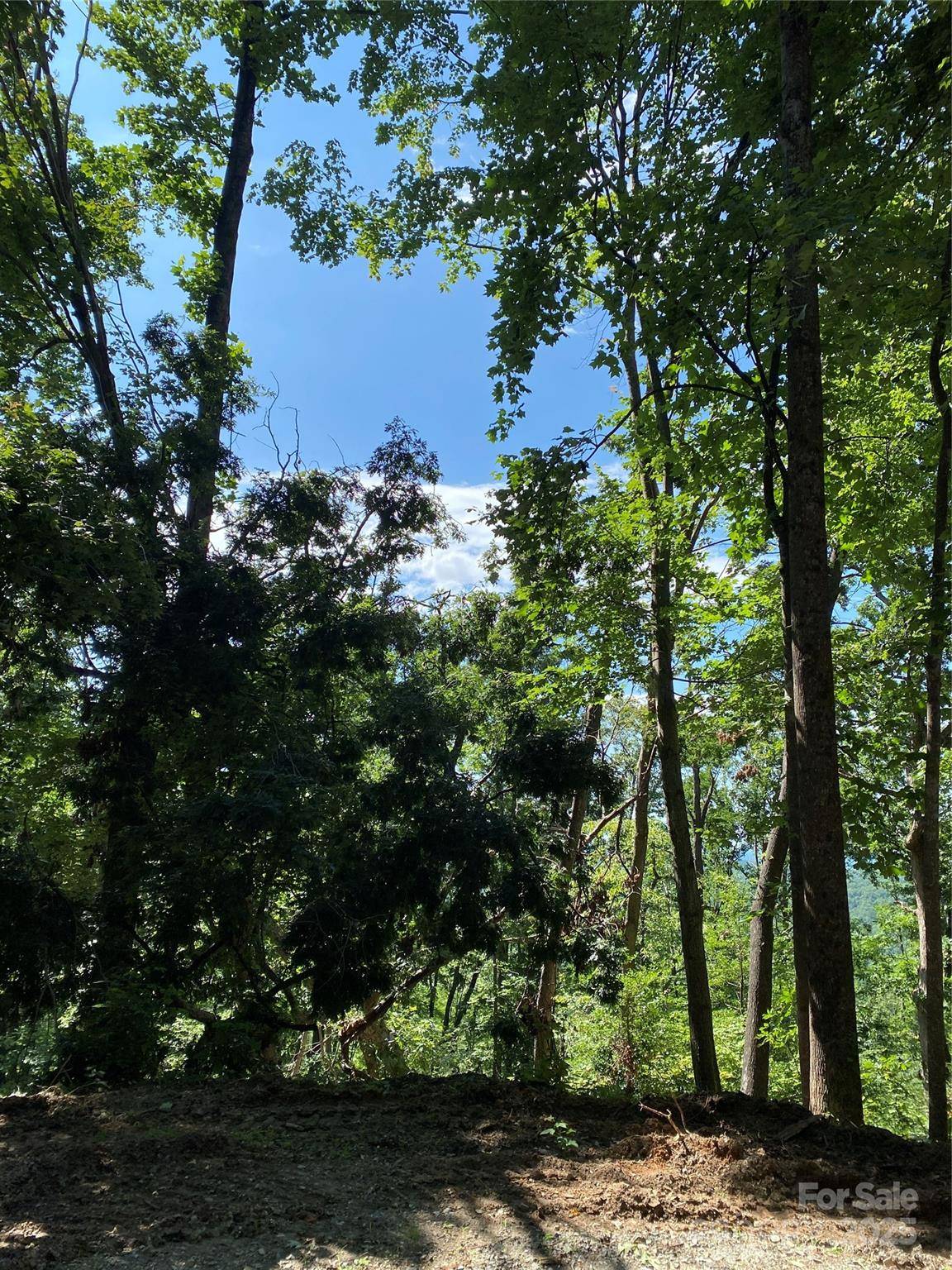 0 Winesap BLVD #81, Lake Lure, NC 28746