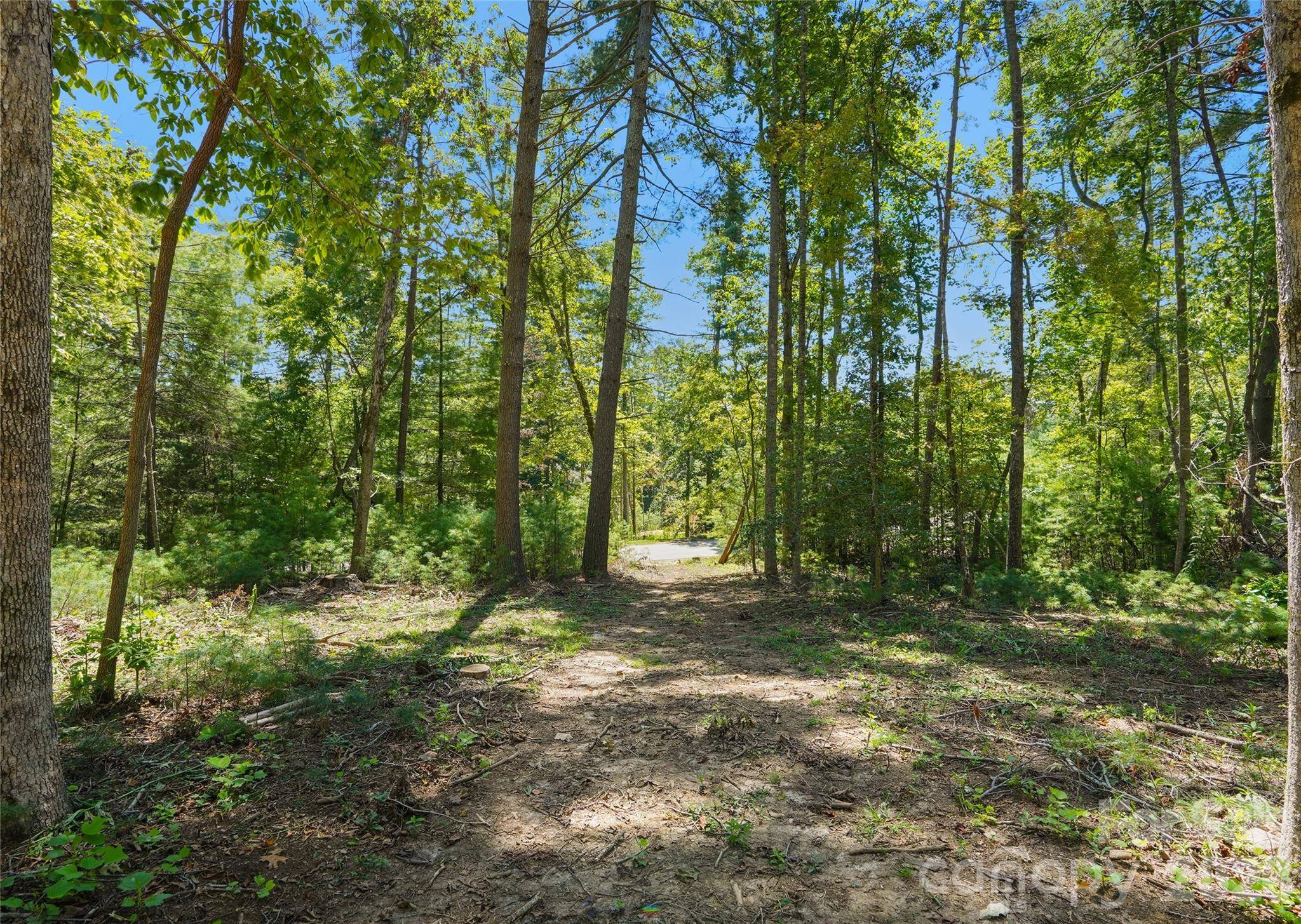 15 Mirehouse RUN, Asheville, NC 28803