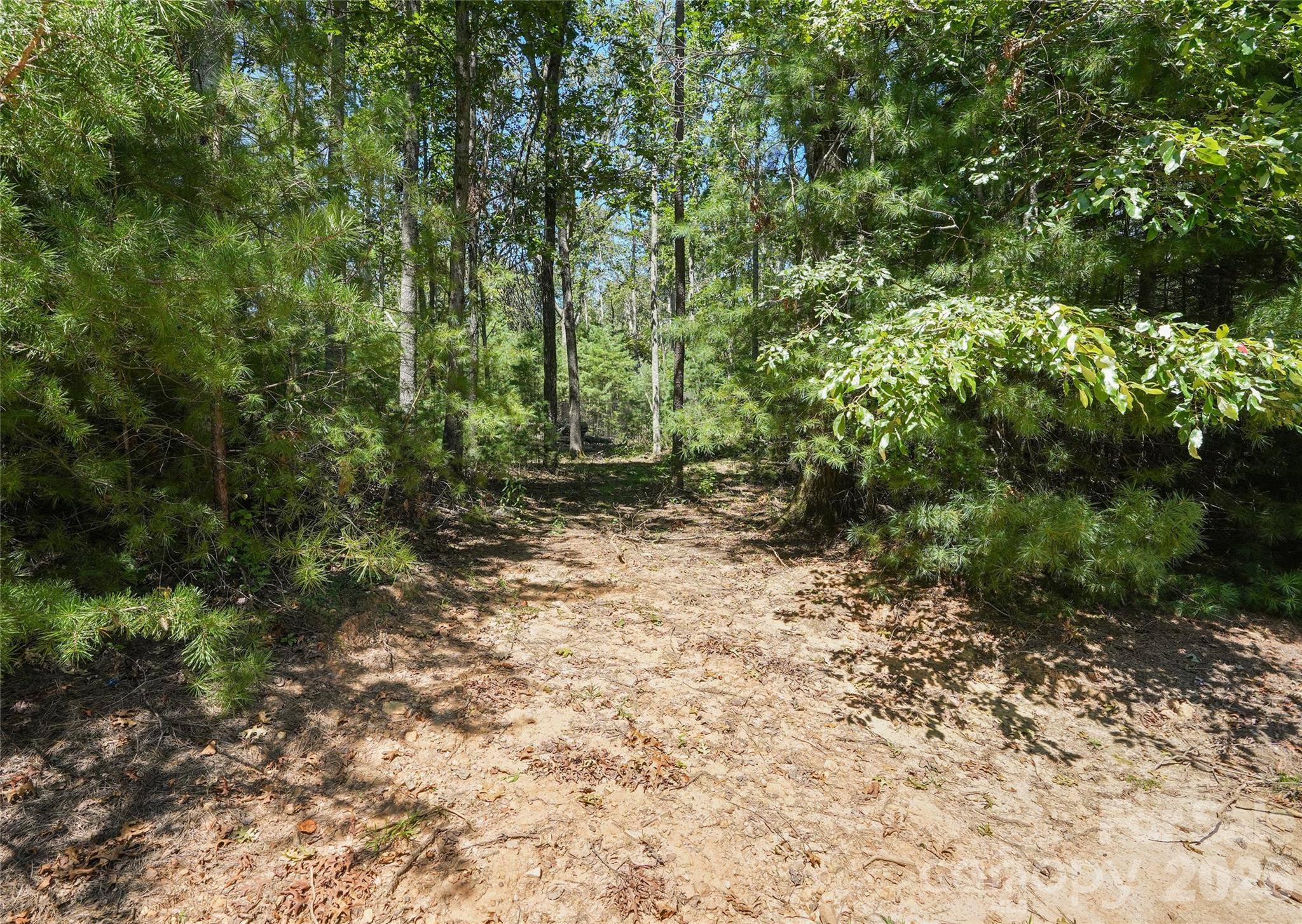 15 Mirehouse RUN, Asheville, NC 28803