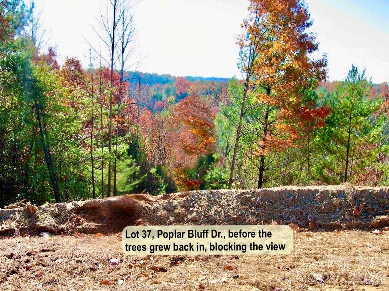 3.31 acres, Lot 37 Poplar Bluff DR SE #37, Lenoir, NC 28645