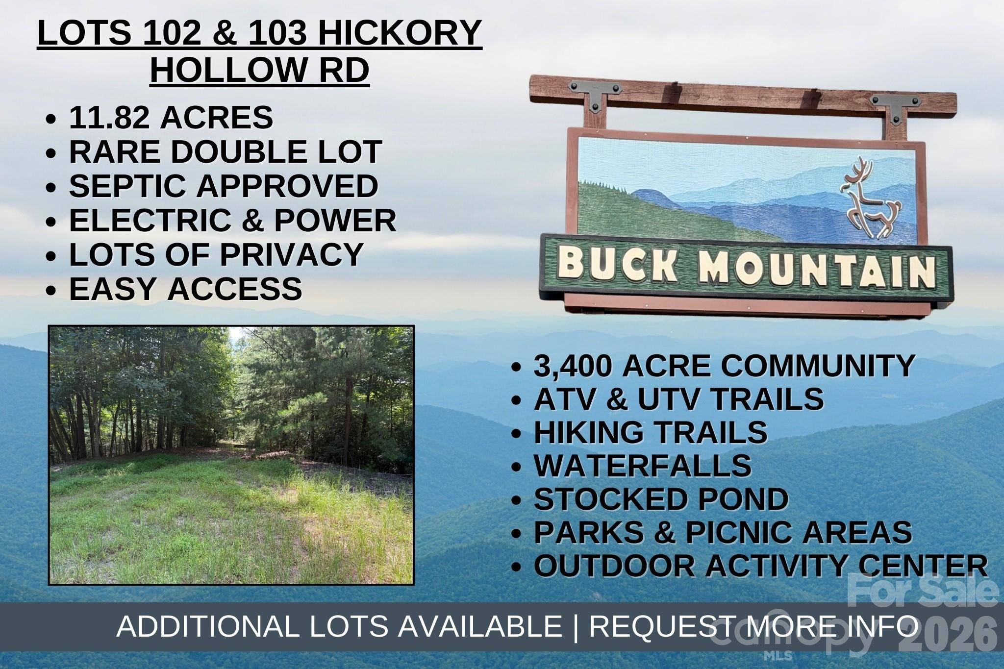 TBD Hickory Hollow RD #102 & 103, Purlear, NC 28665