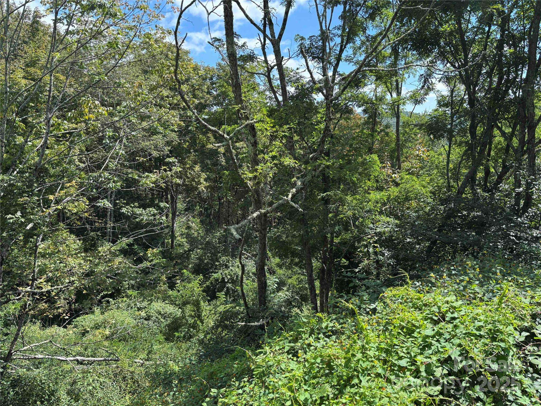 TBD Linhigh DR #66, Newland, NC 28657