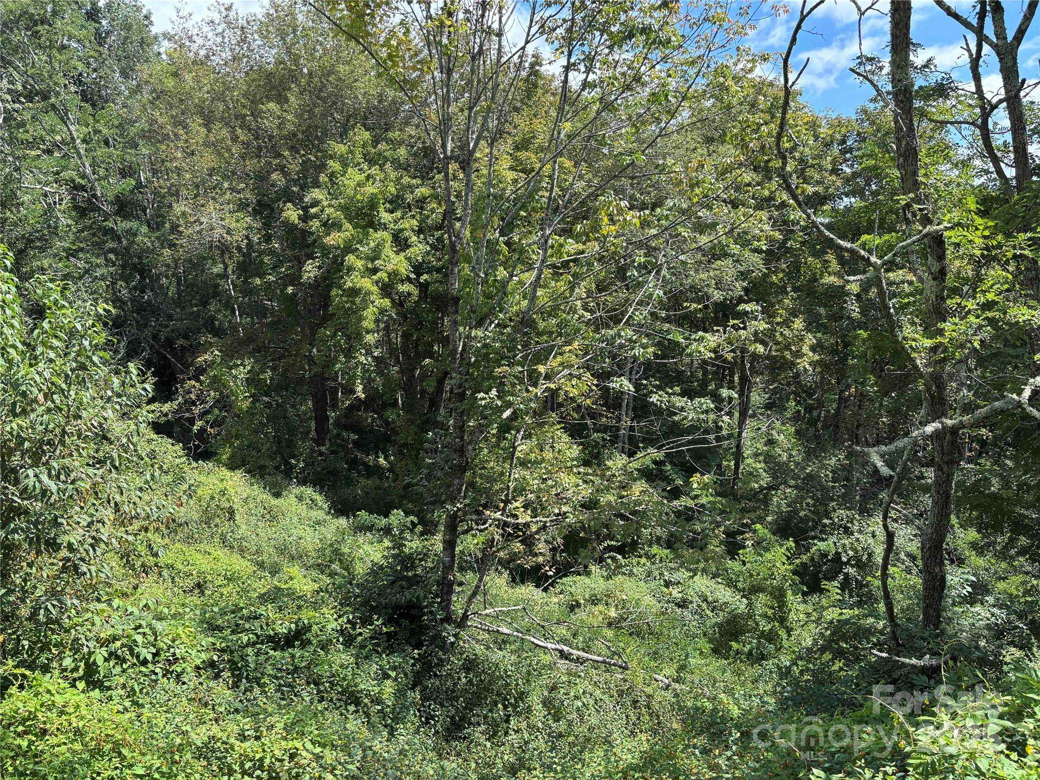 TBD Linhigh DR #66, Newland, NC 28657