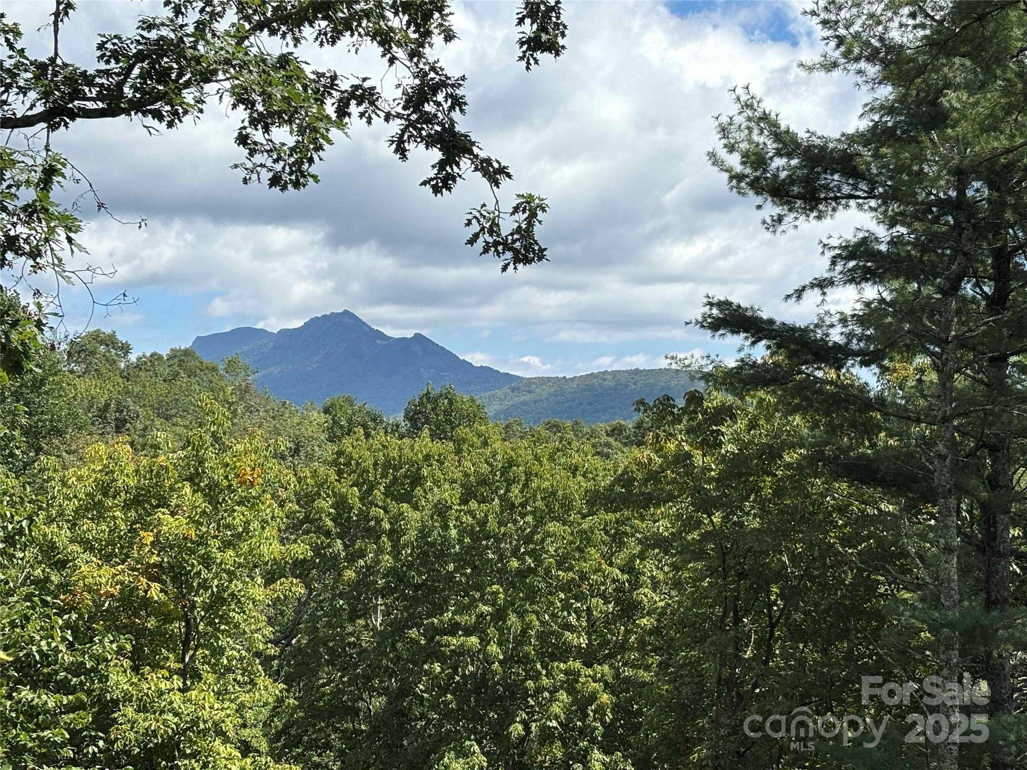 TBD Linhigh DR #66, Newland, NC 28657