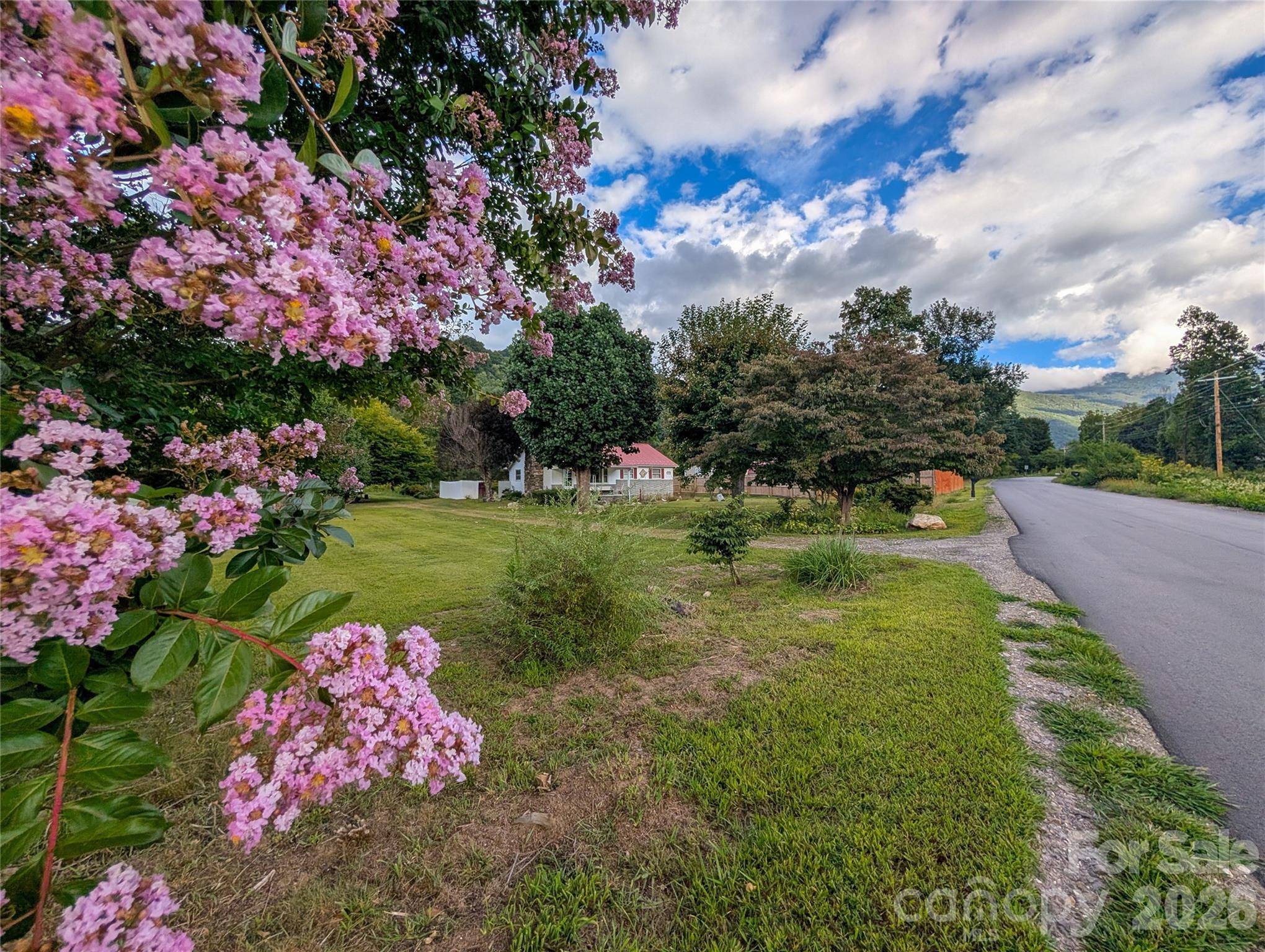 165 Cattail Creek RD, Burnsville, NC 28714