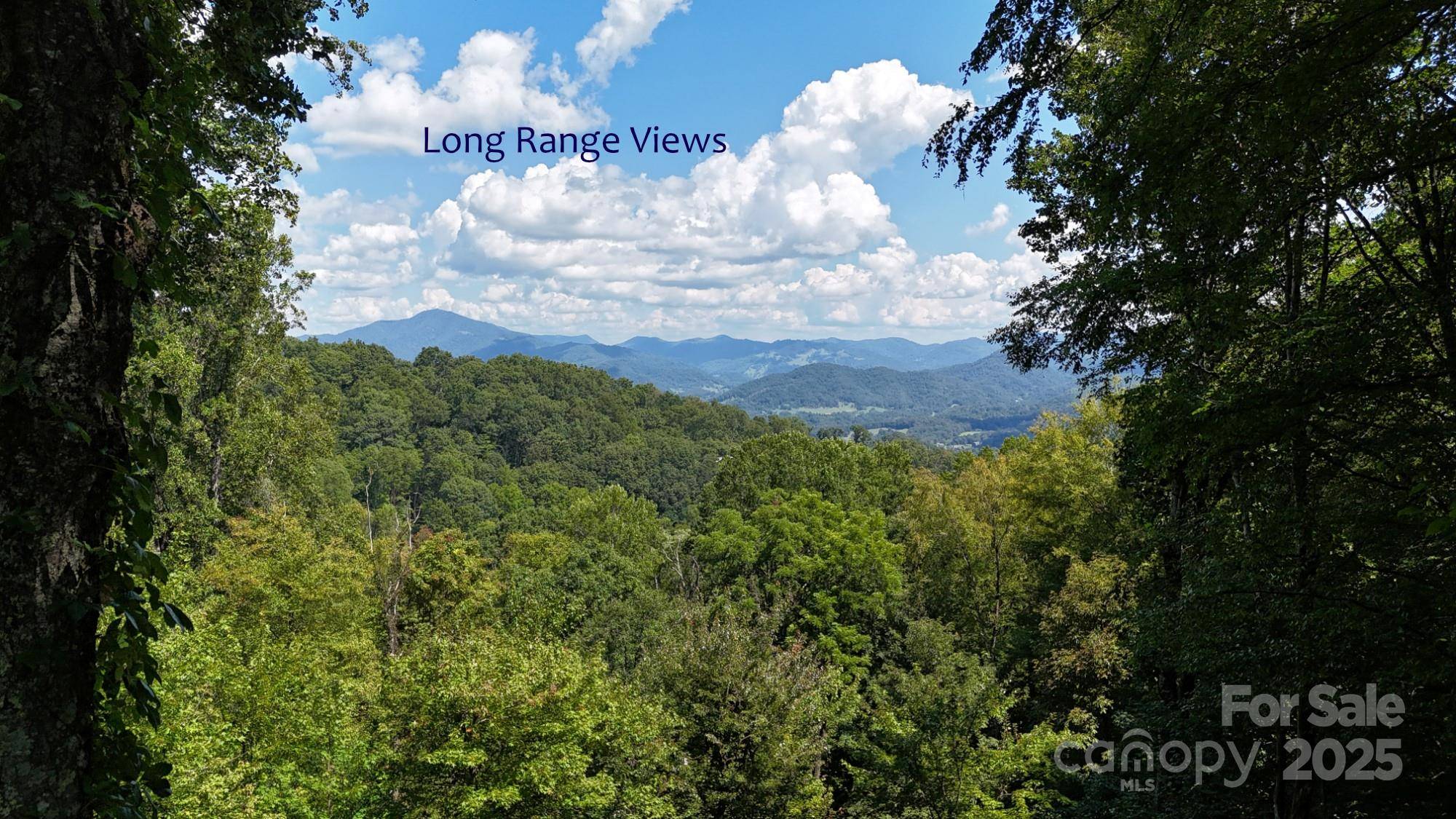 2222 Sleepy Hollow DR, Waynesville, NC 28785