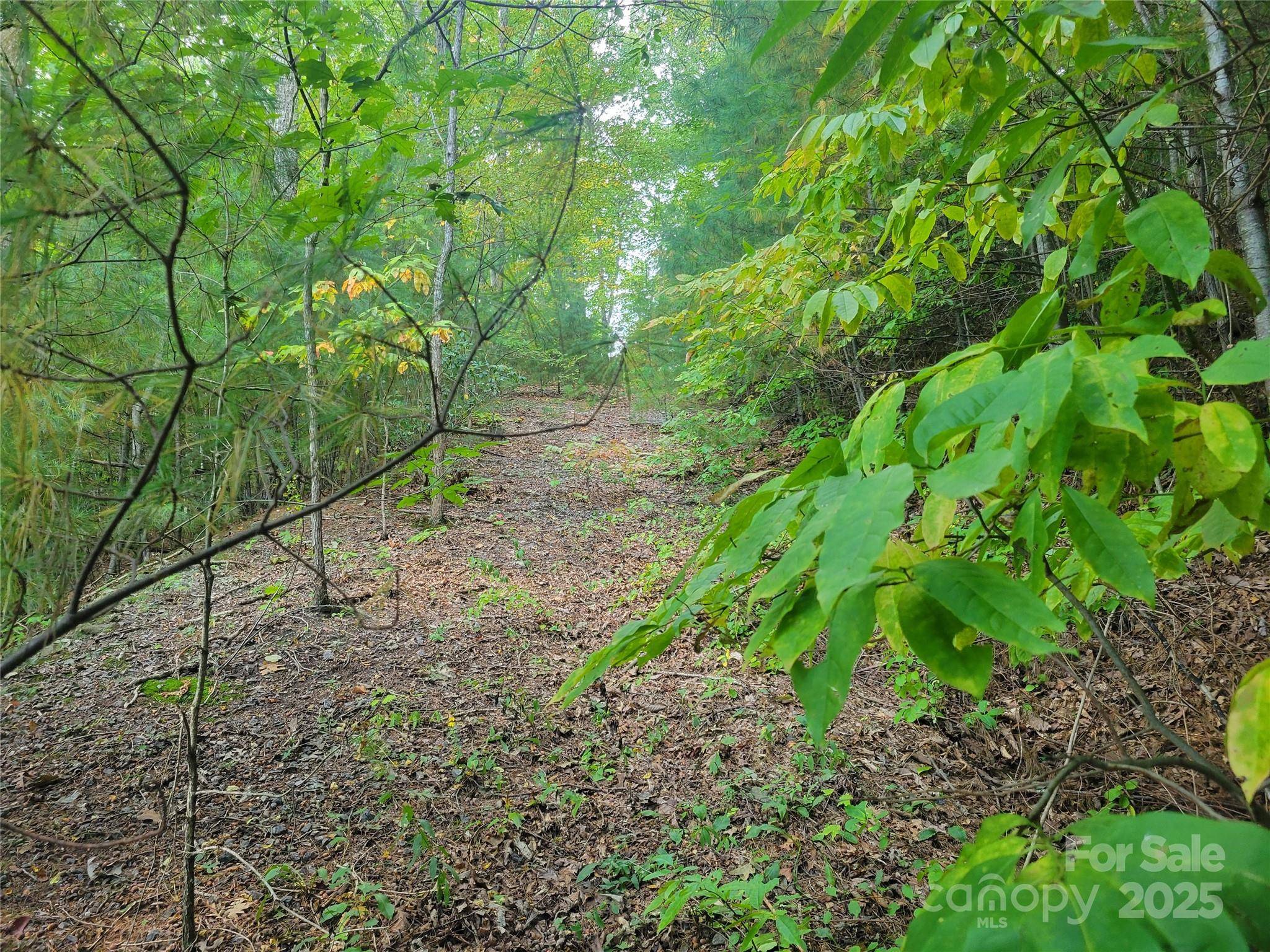 0 Pinewood DR #5, Waynesville, NC 28786