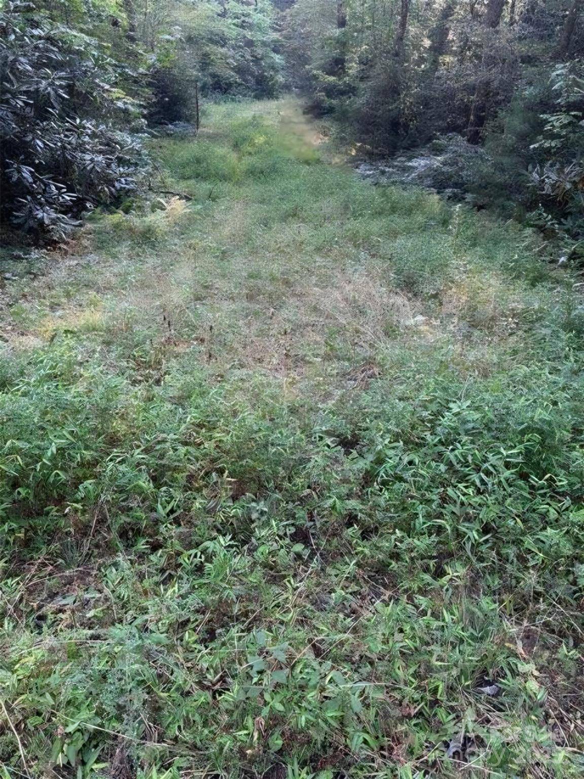 00 Beaumont DR, Cedar Mountain, NC 28718
