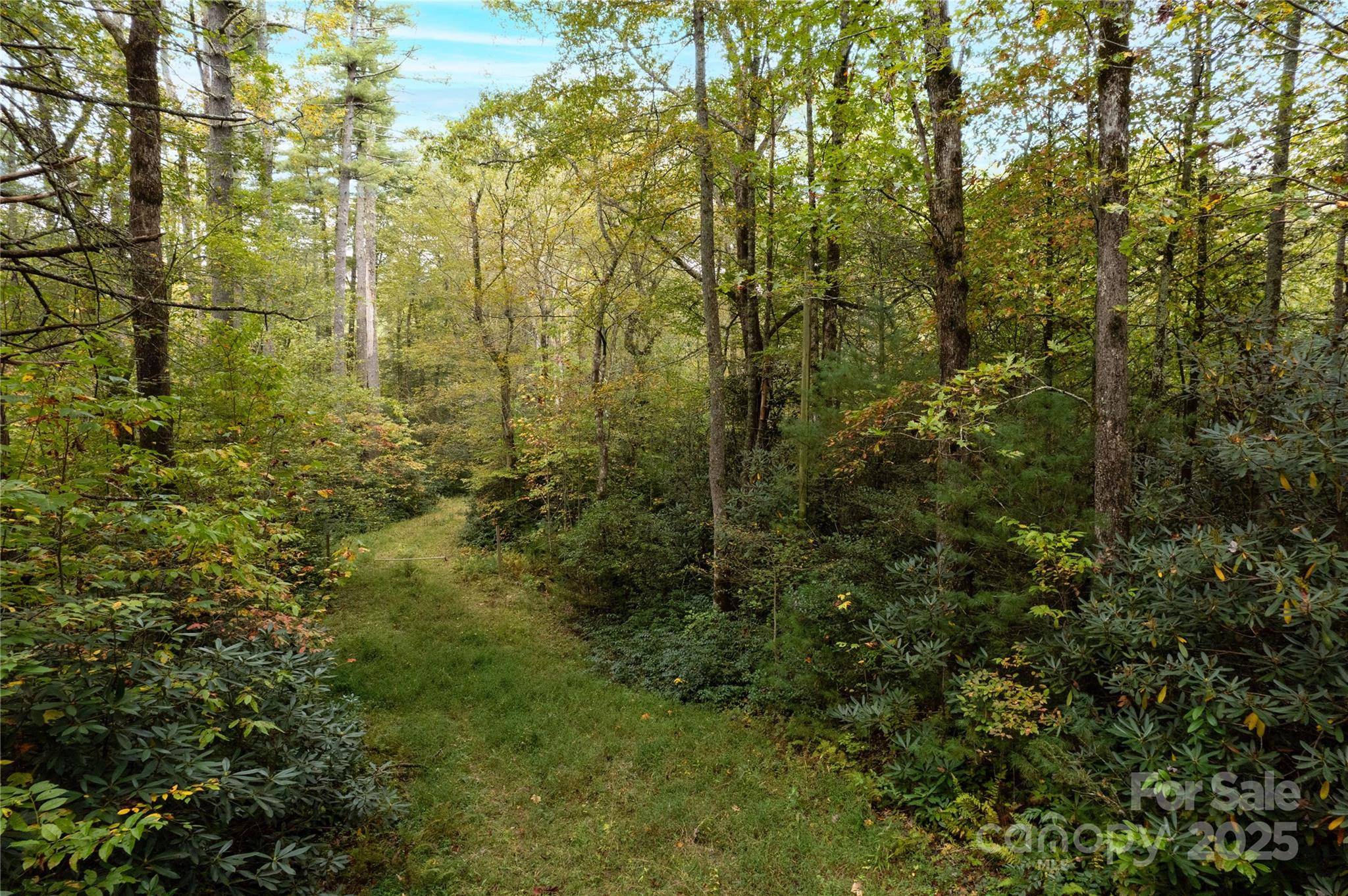 00 Beaumont DR, Cedar Mountain, NC 28718