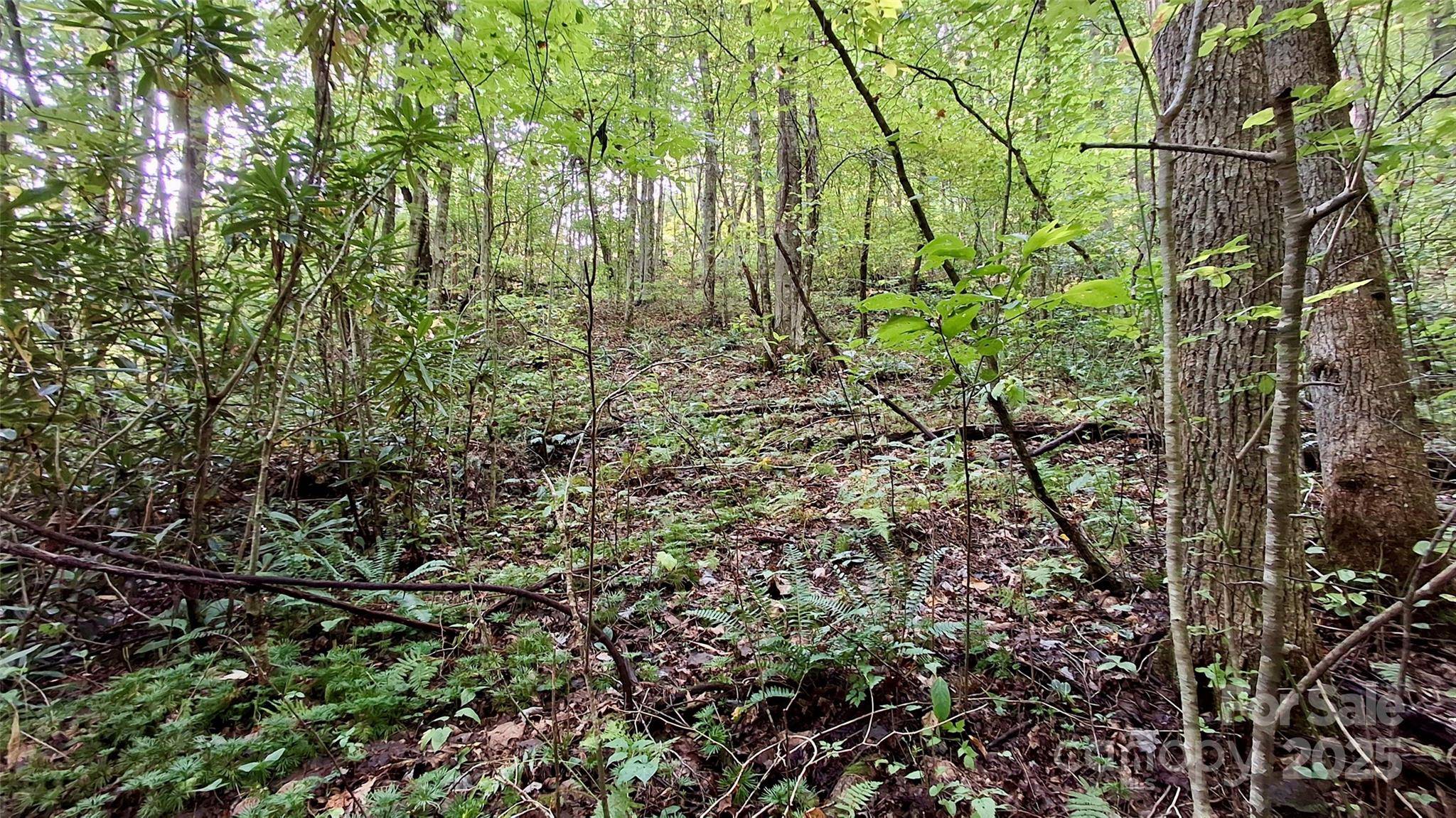0 Cross Creek CIR, Sylva, NC 28779