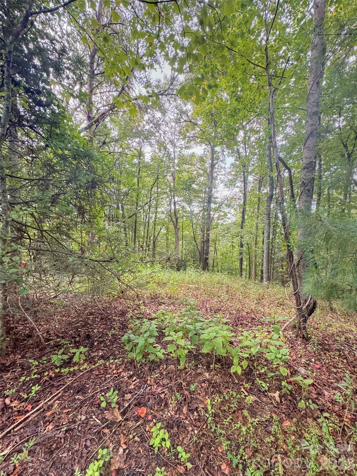 110 Stone Valley WAY #20, Hendersonville, NC 28792