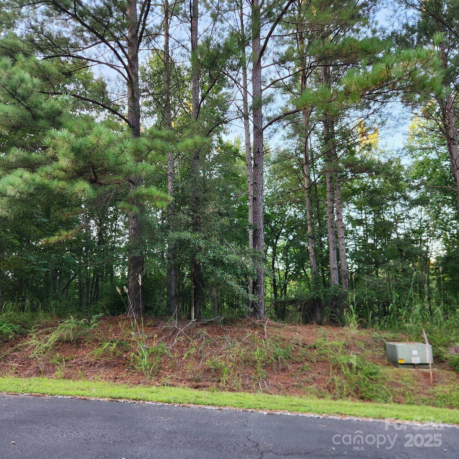 115 Scenic Ridge DR, Mooresboro, NC 28114