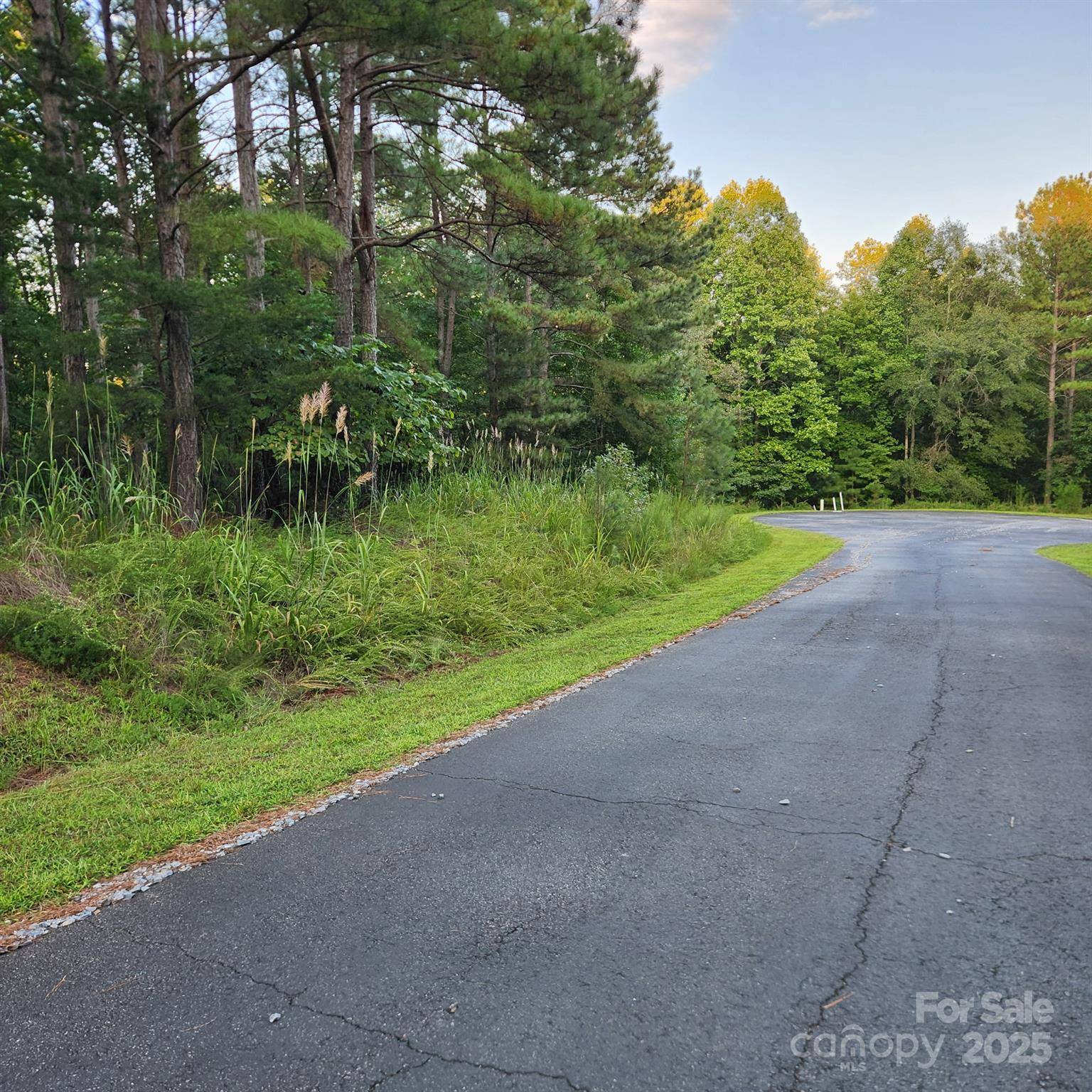 115 Scenic Ridge DR, Mooresboro, NC 28114