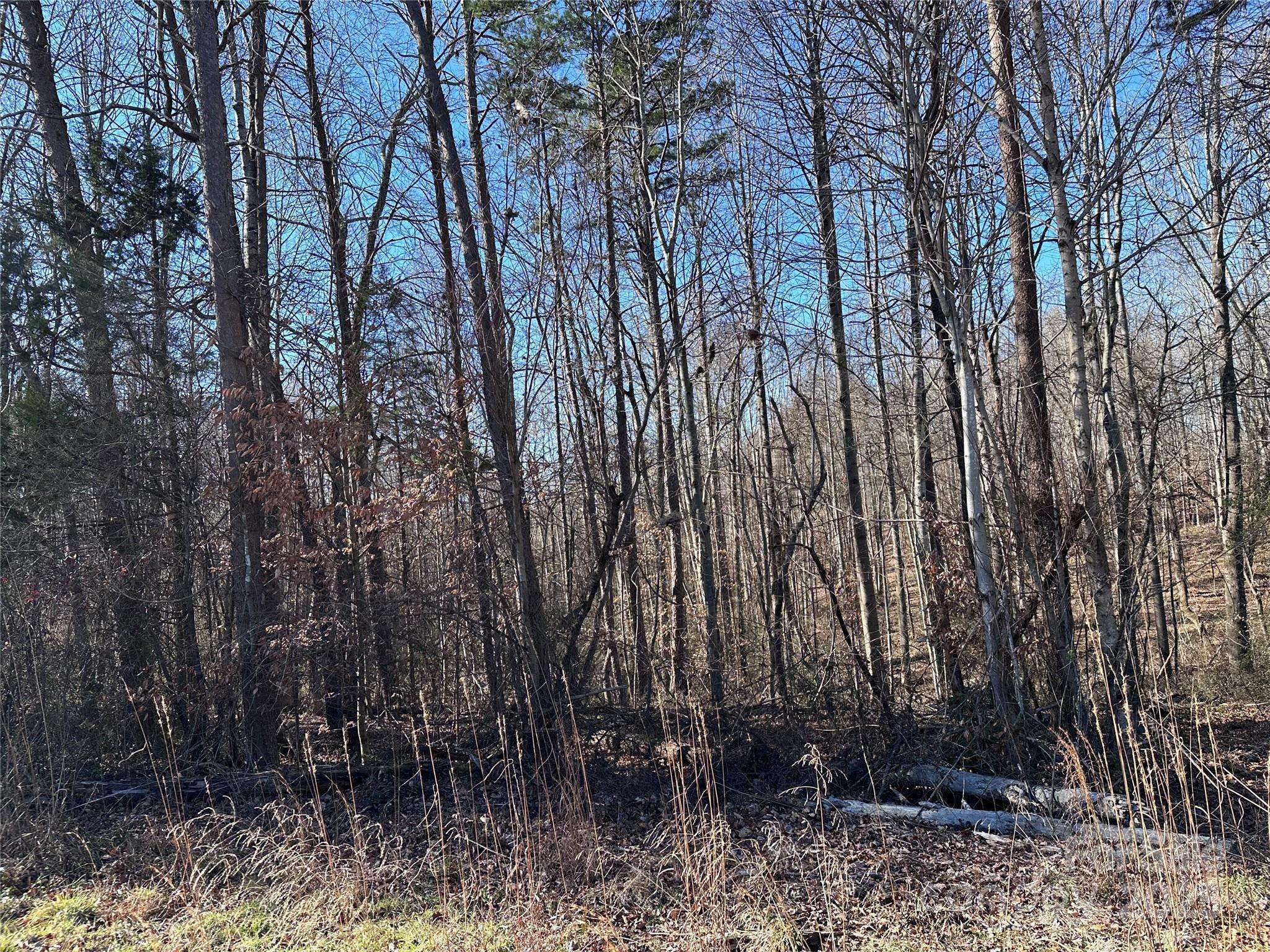 1080 S States ST, Yadkinville, NC 27055