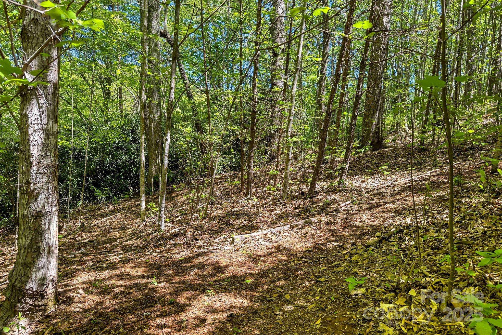 tbd Hunting Lodge DR #9, Black Mountain, NC 28711
