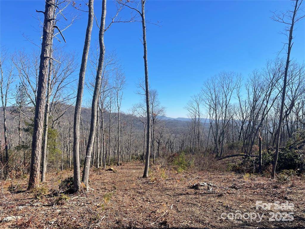 Lot 59 Mountain Grove LN, Fletcher, NC 28732