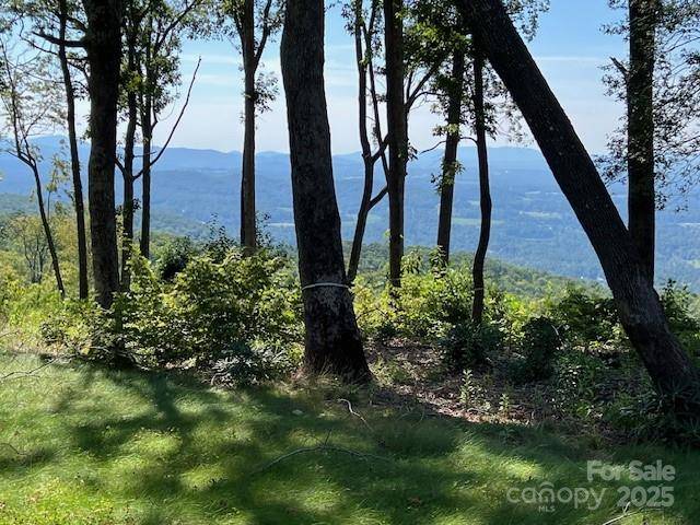 462 E Garden TRL #37, Hendersonville, NC 28792