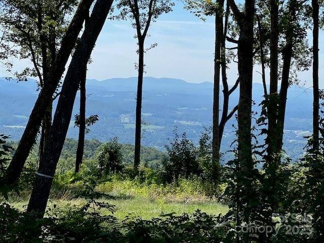 462 E Garden TRL #37, Hendersonville, NC 28792