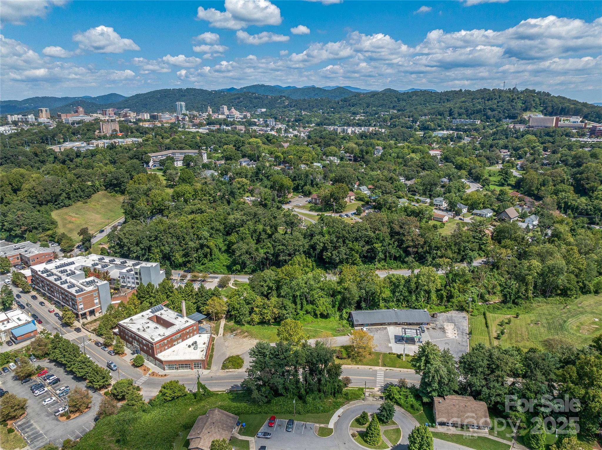 410 Depot ST, Asheville, NC 28801