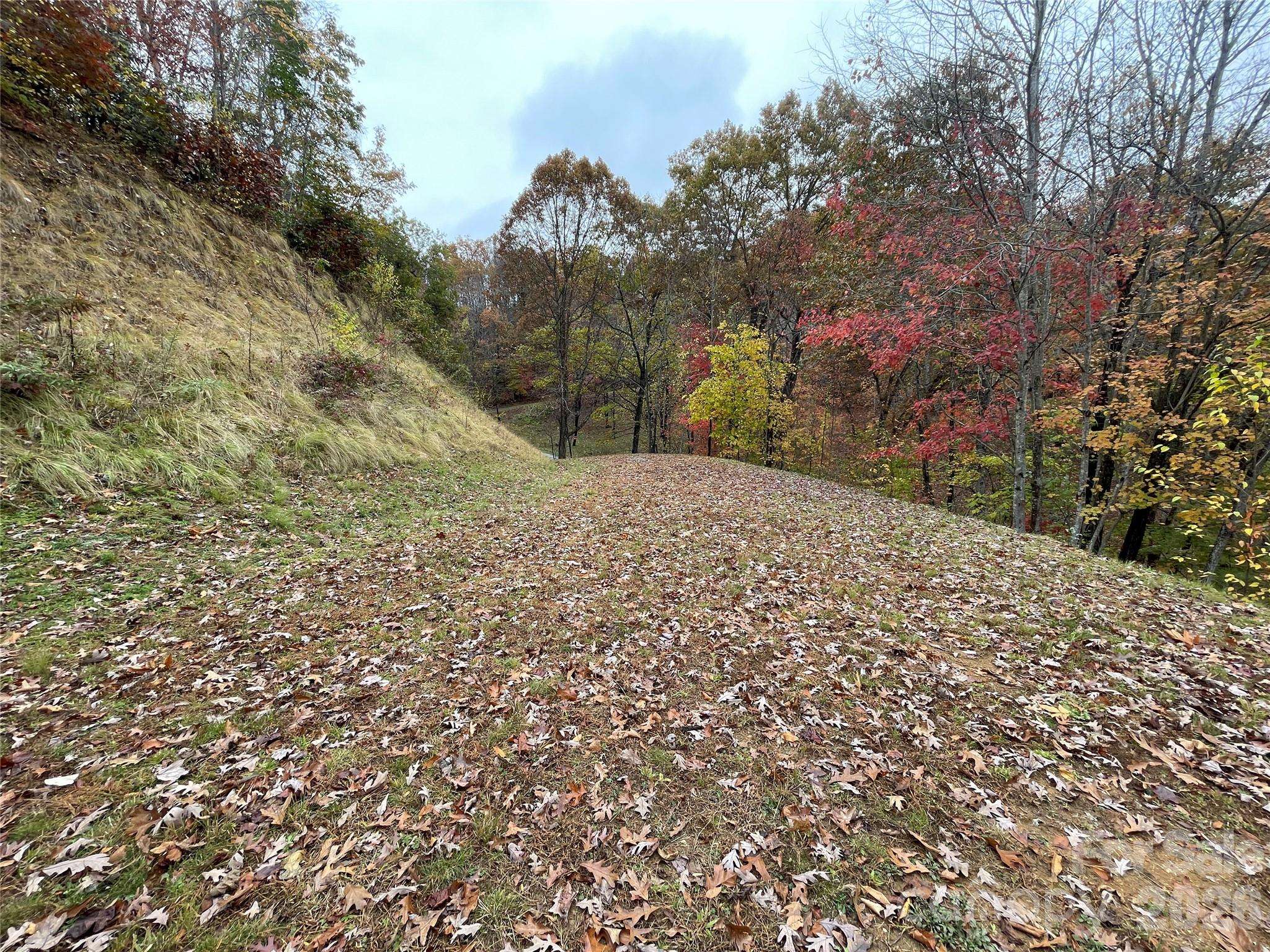 97 Junebug TRL, Waynesville, NC 28785