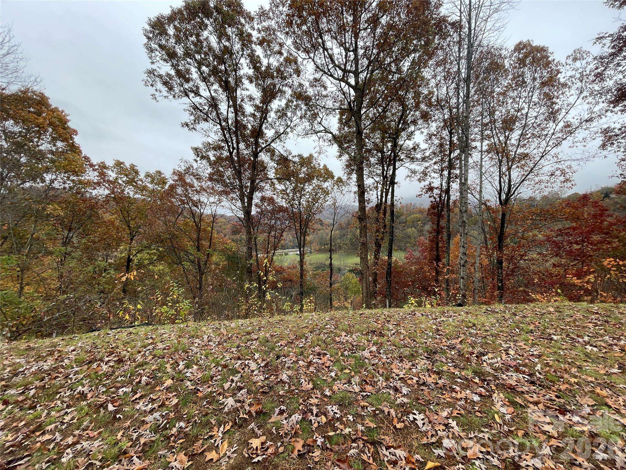 97 Junebug TRL, Waynesville, NC 28785