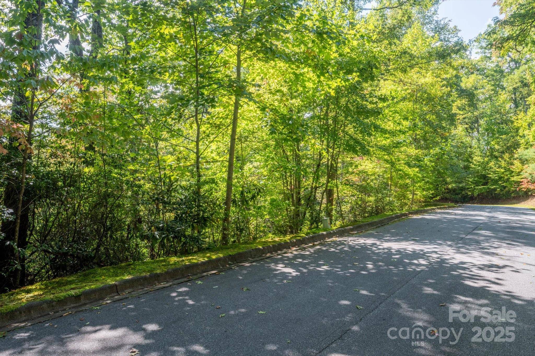 TBD Pine Mountain TRL #M79, Brevard, NC 28712