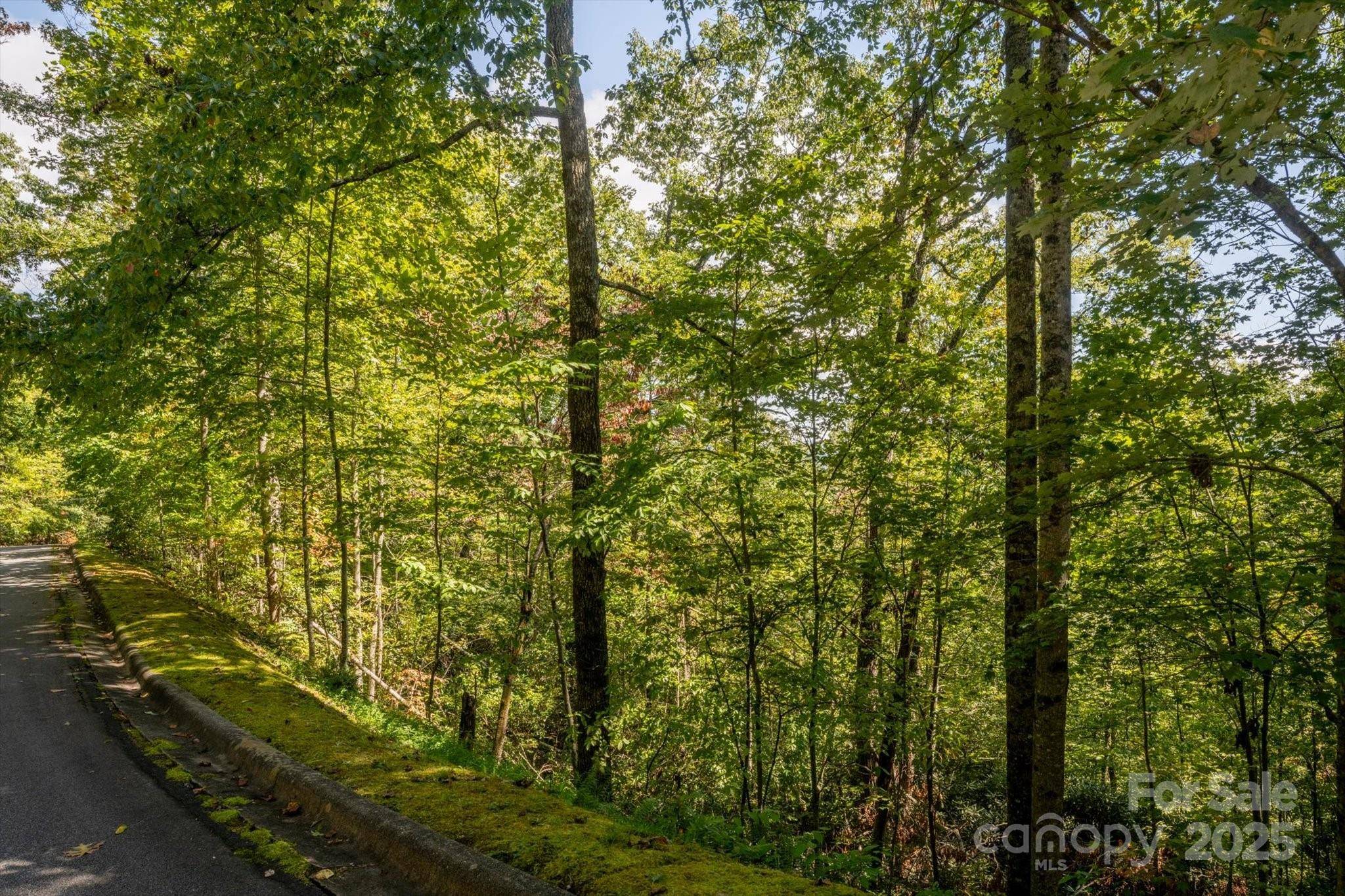 TBD Pine Mountain TRL #M79, Brevard, NC 28712