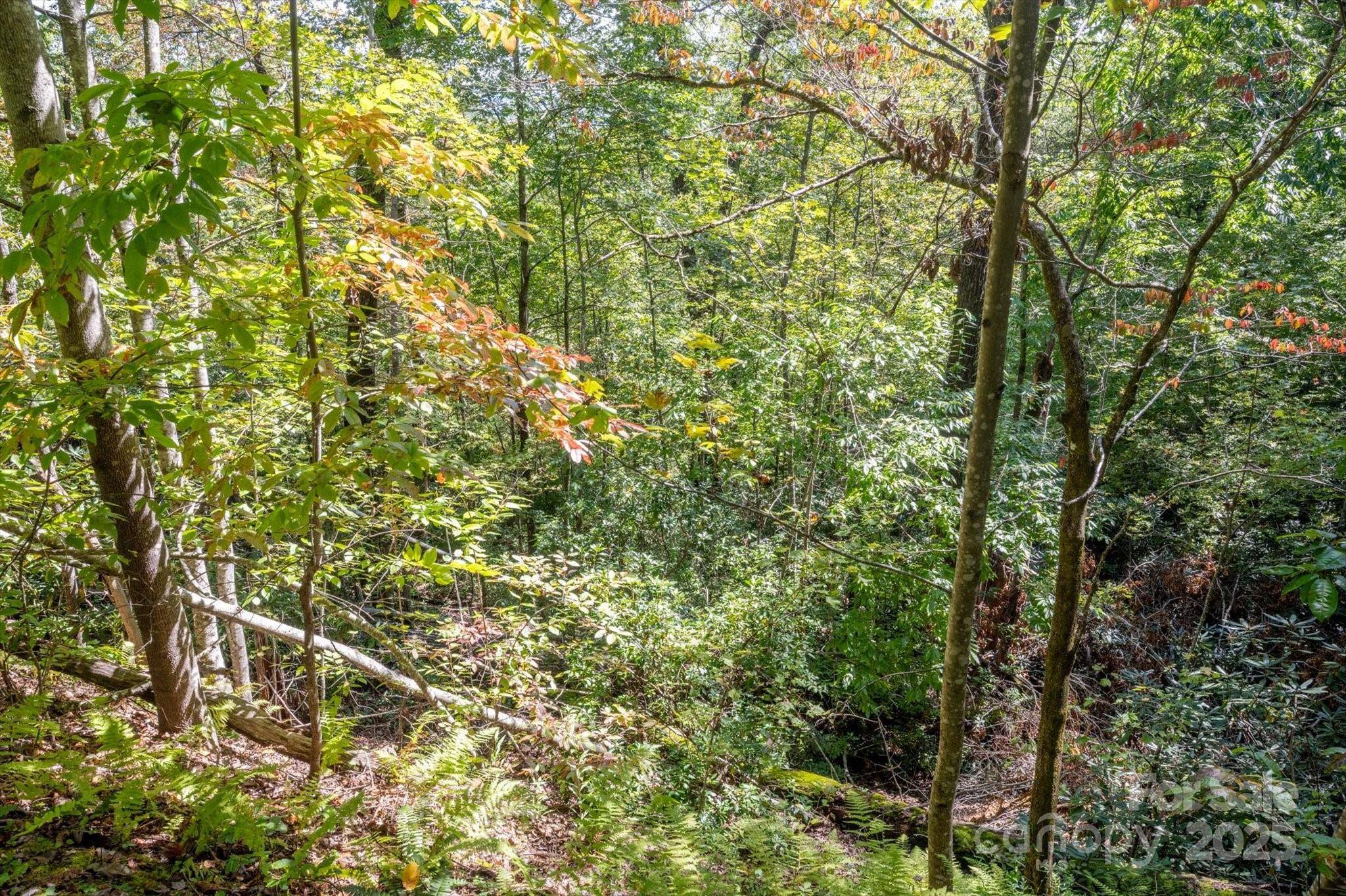 TBD Pine Mountain TRL #M79, Brevard, NC 28712